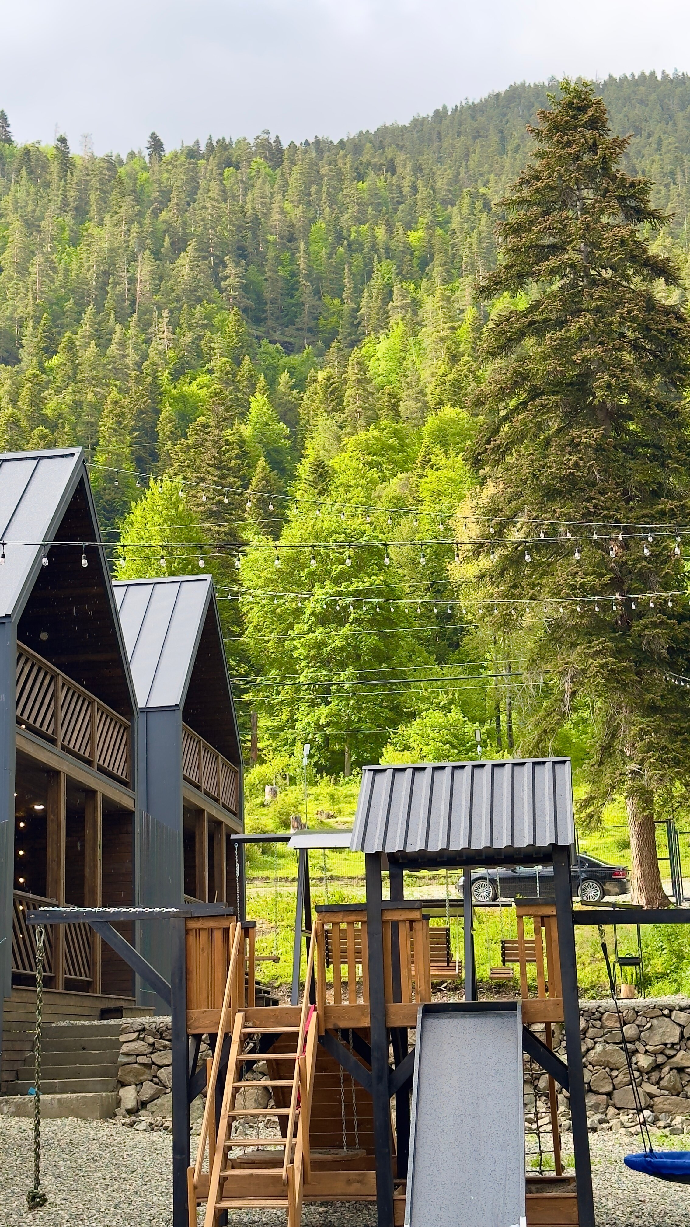 Фото Альбор