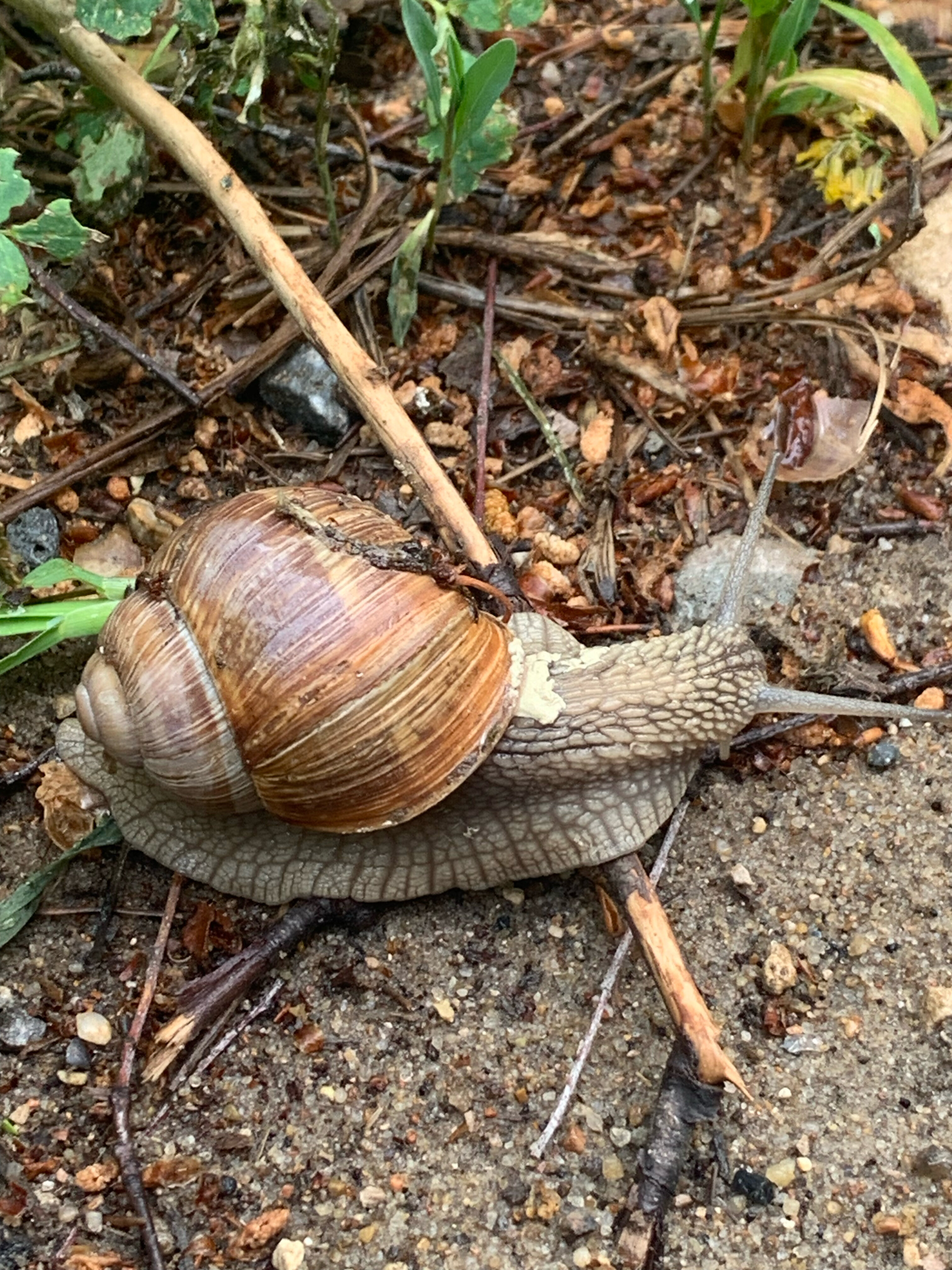 Фото Миллениум