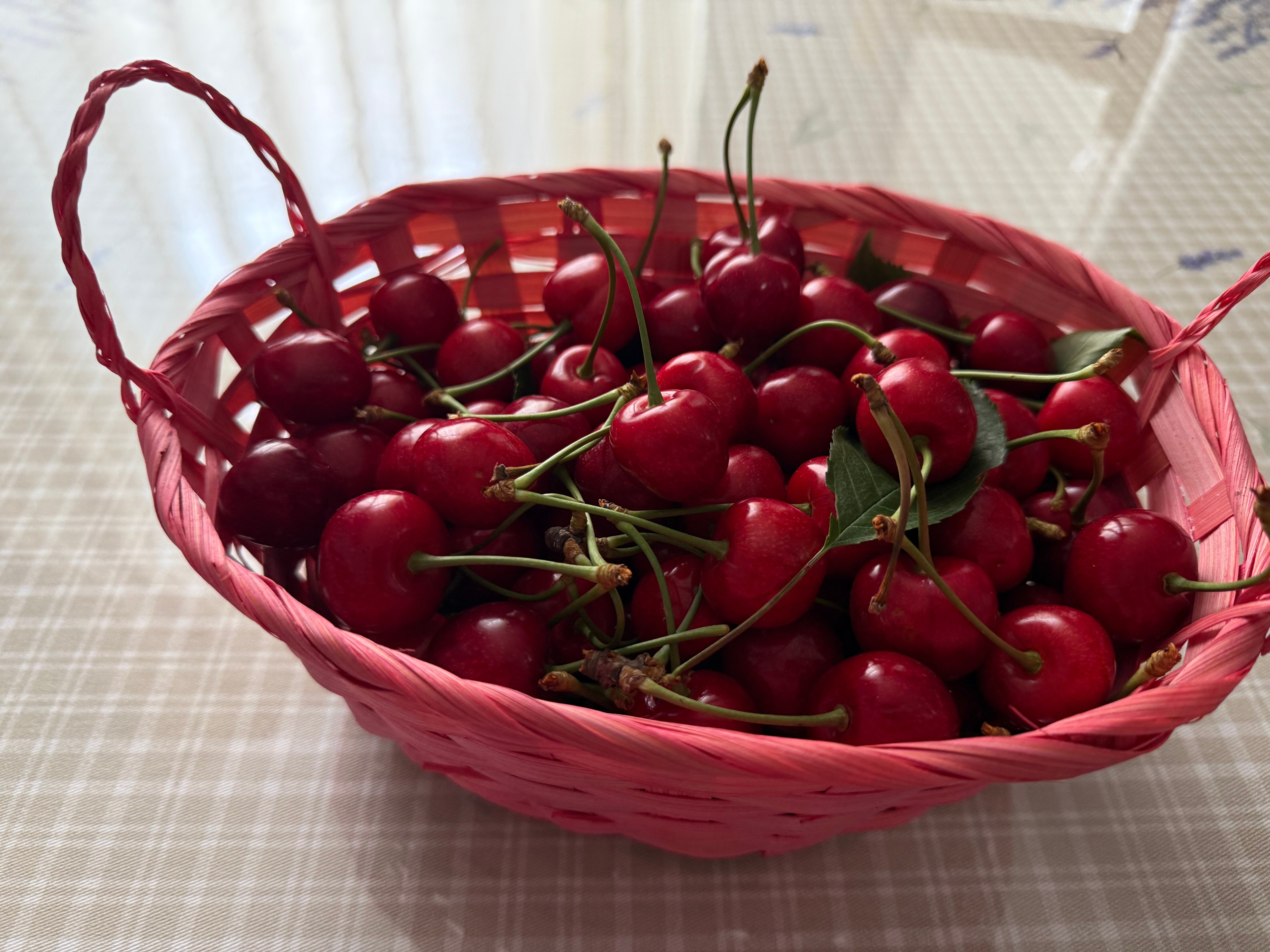 Фото Вилла Натали