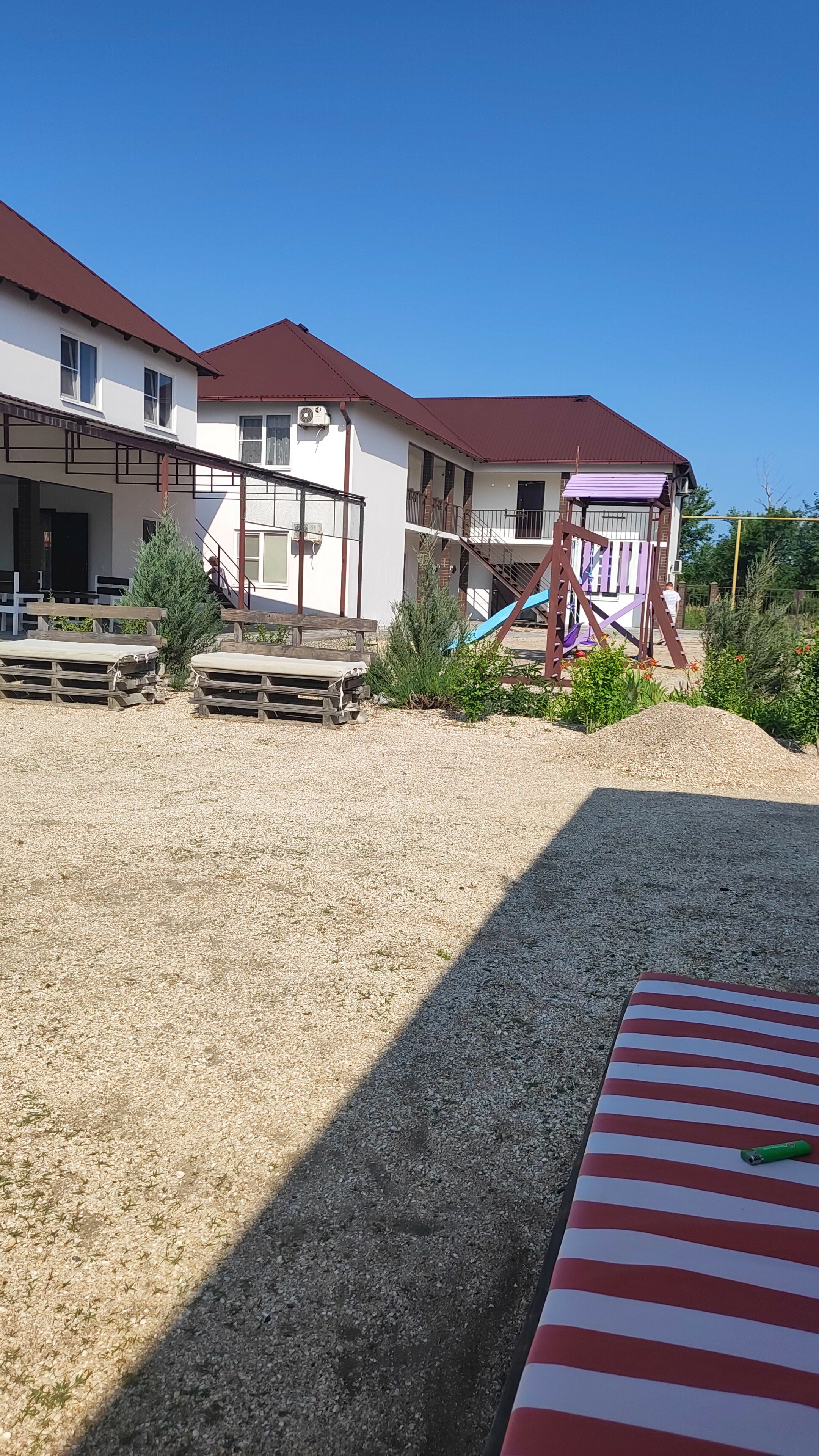 Фото Лаванда