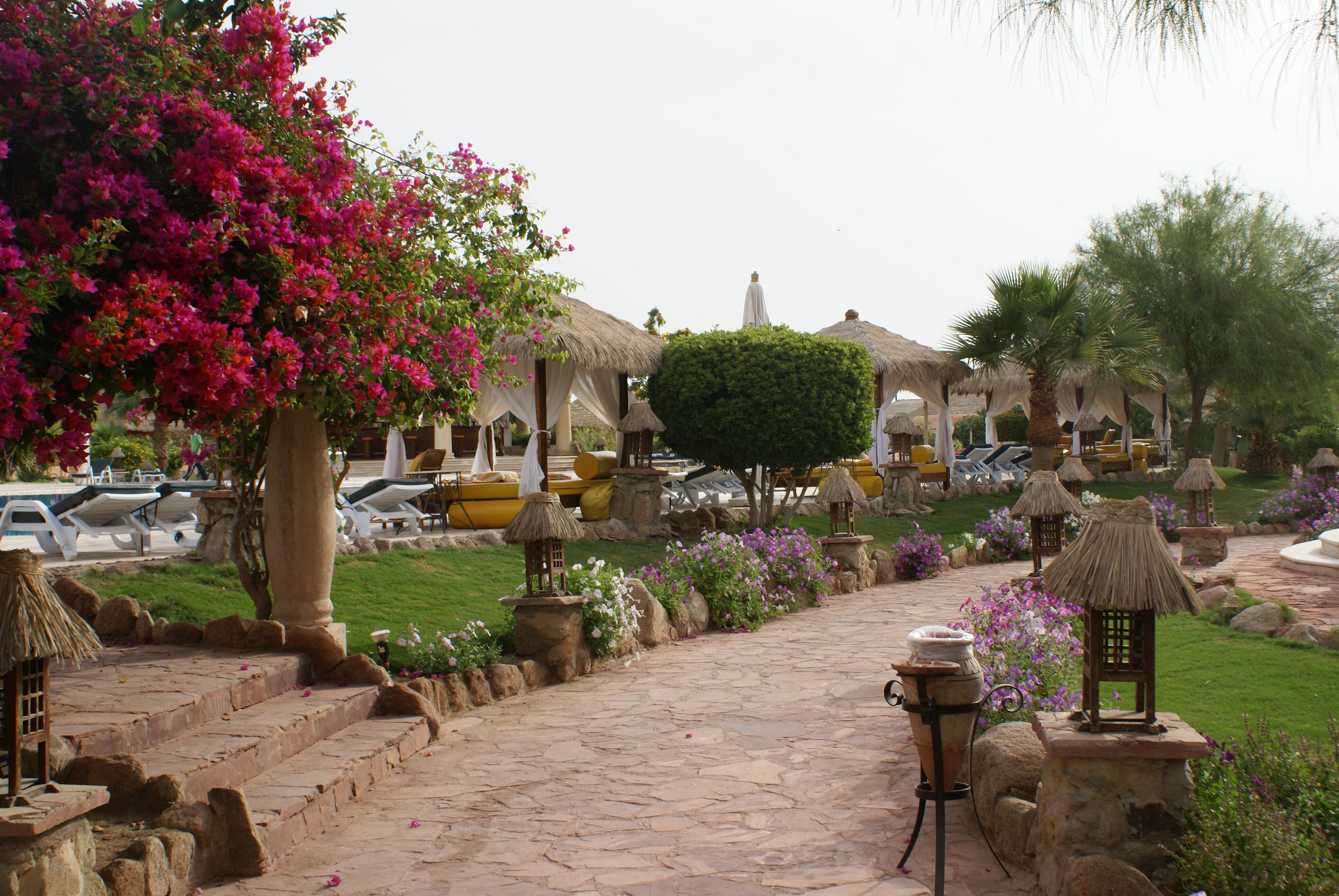 Фото Albatros Laguna Vista Resort