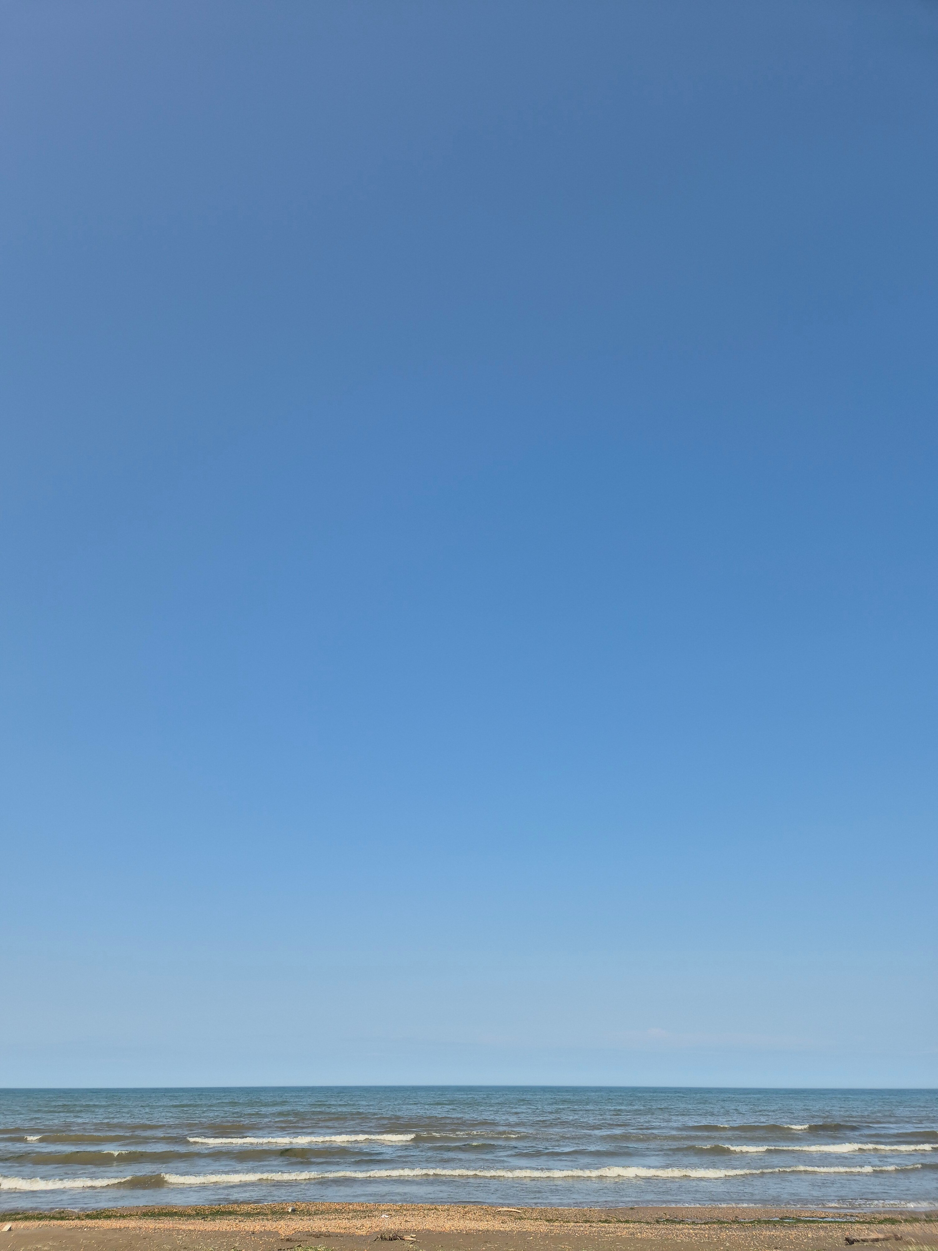 Фото Бархал