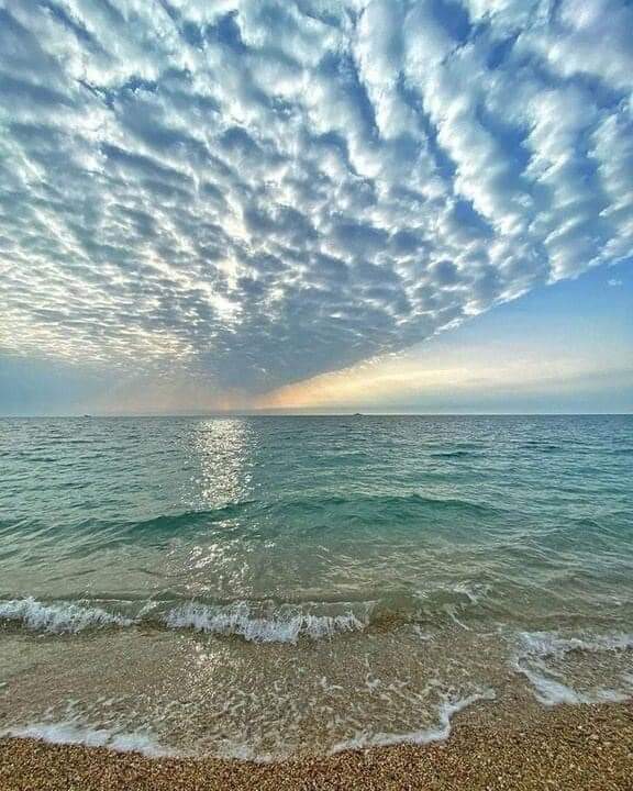 Фото Дамиан