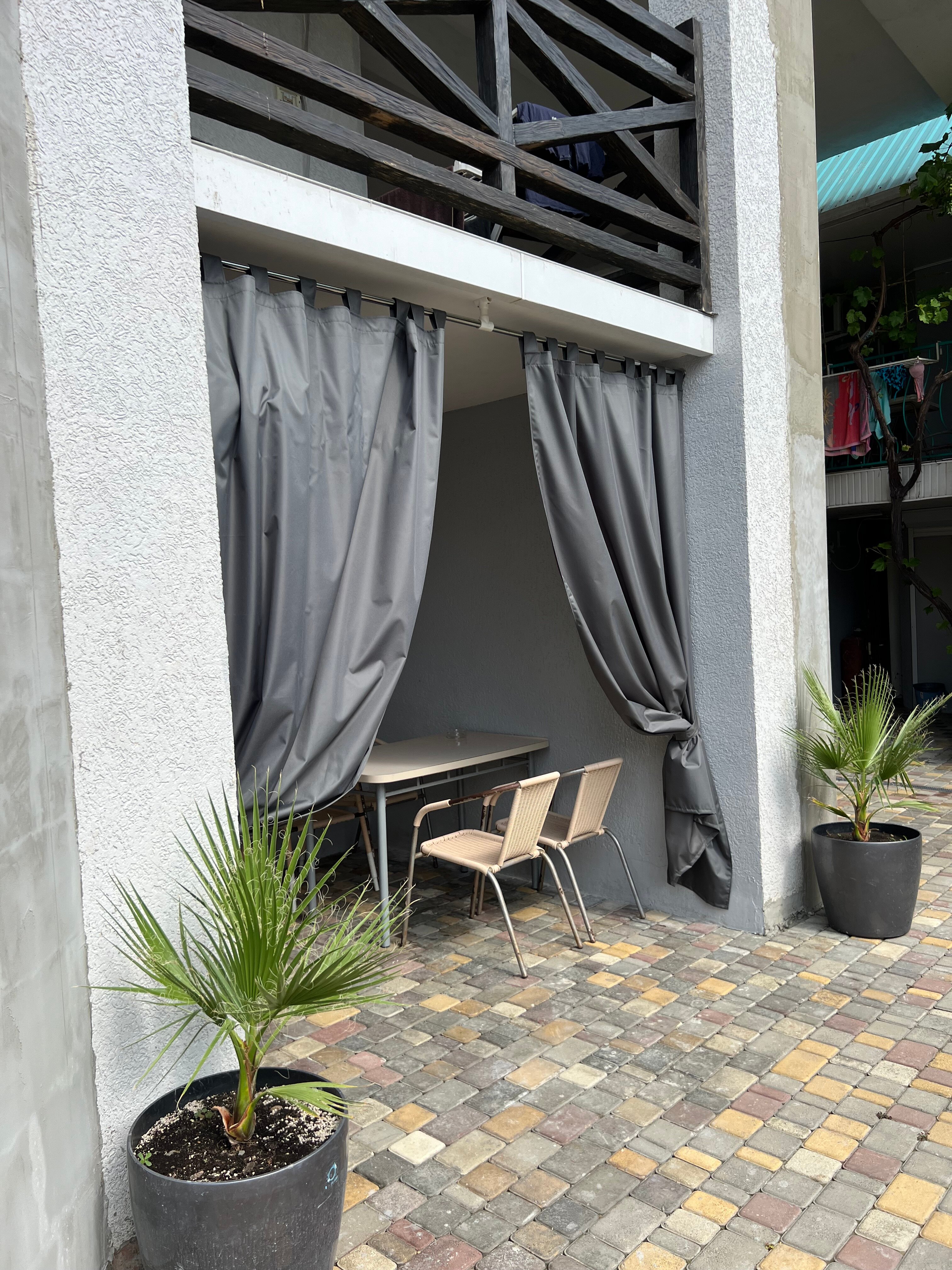 Фото Фламинго