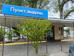 Пункт выдачи (переулок имени Лёни Голикова, 1), point of delivery