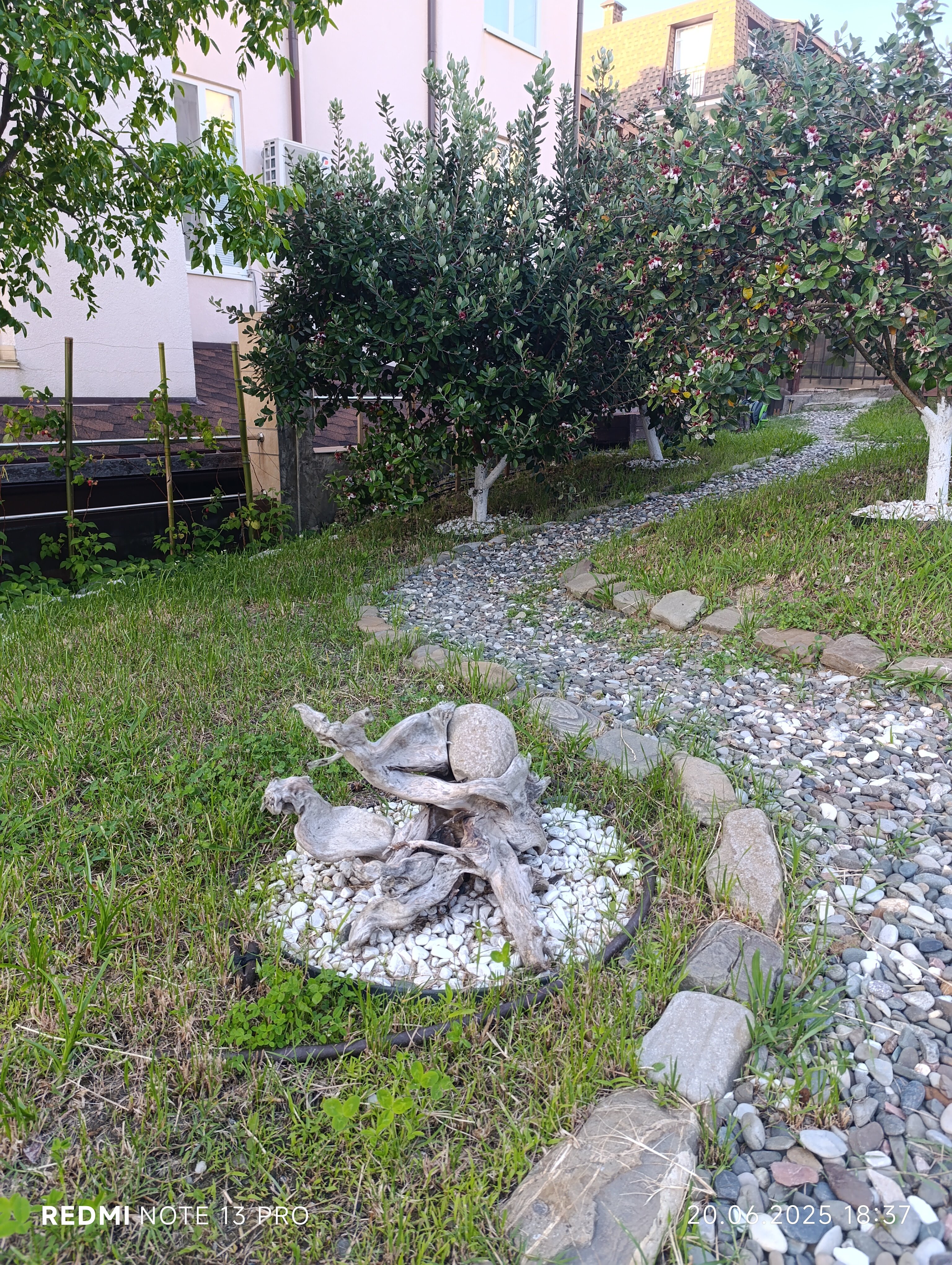 Фото Сербия