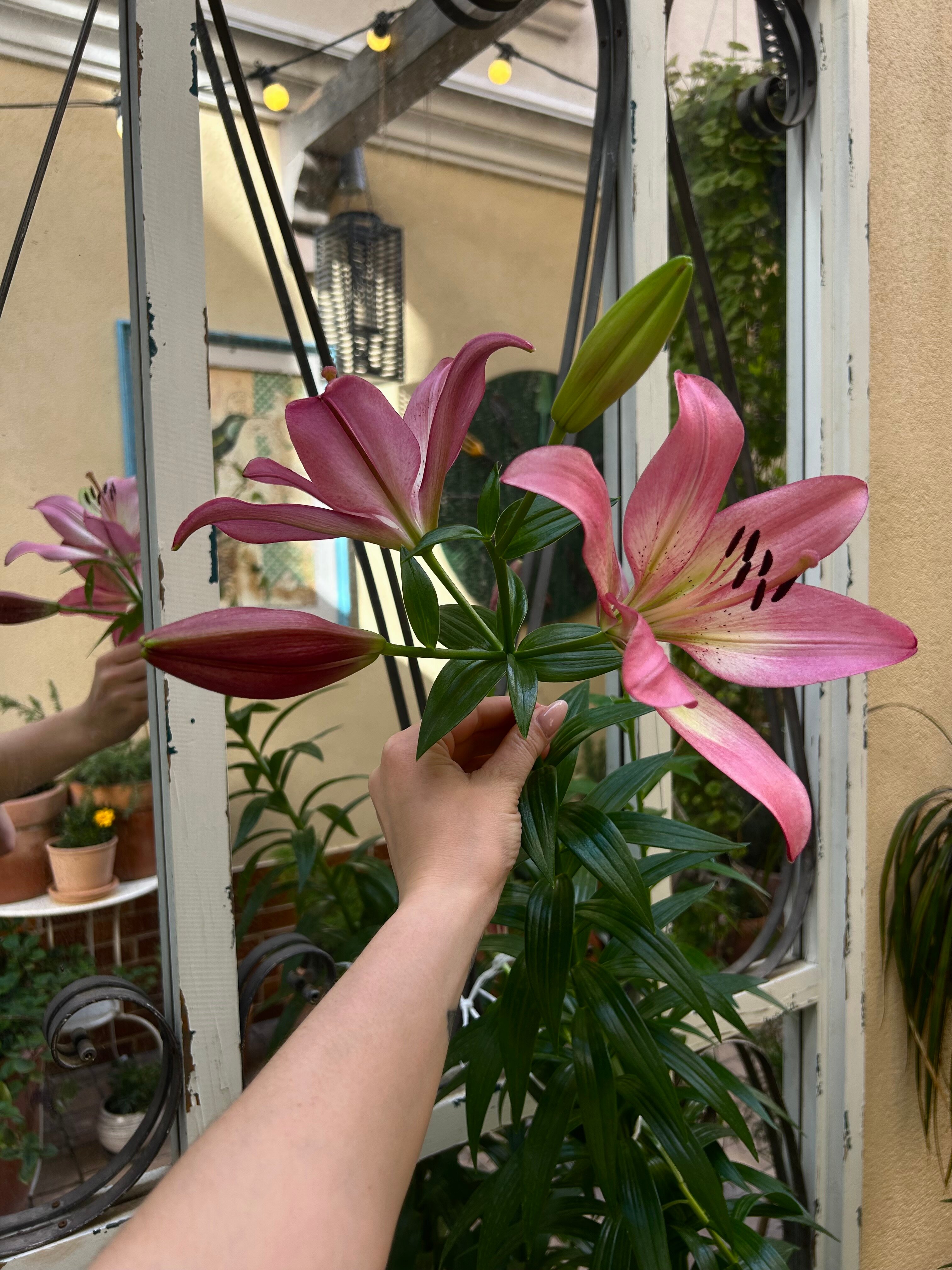 Фото Пушкин