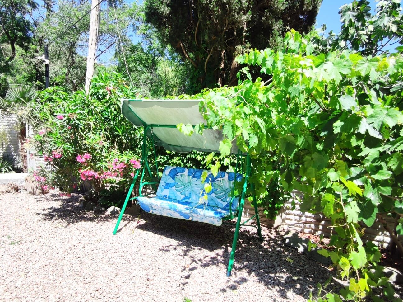 Фото Феерия