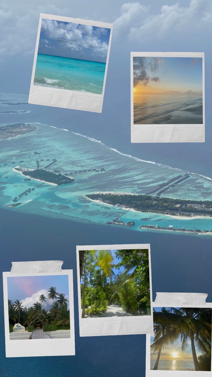 Фото Canareef Resort Maldives