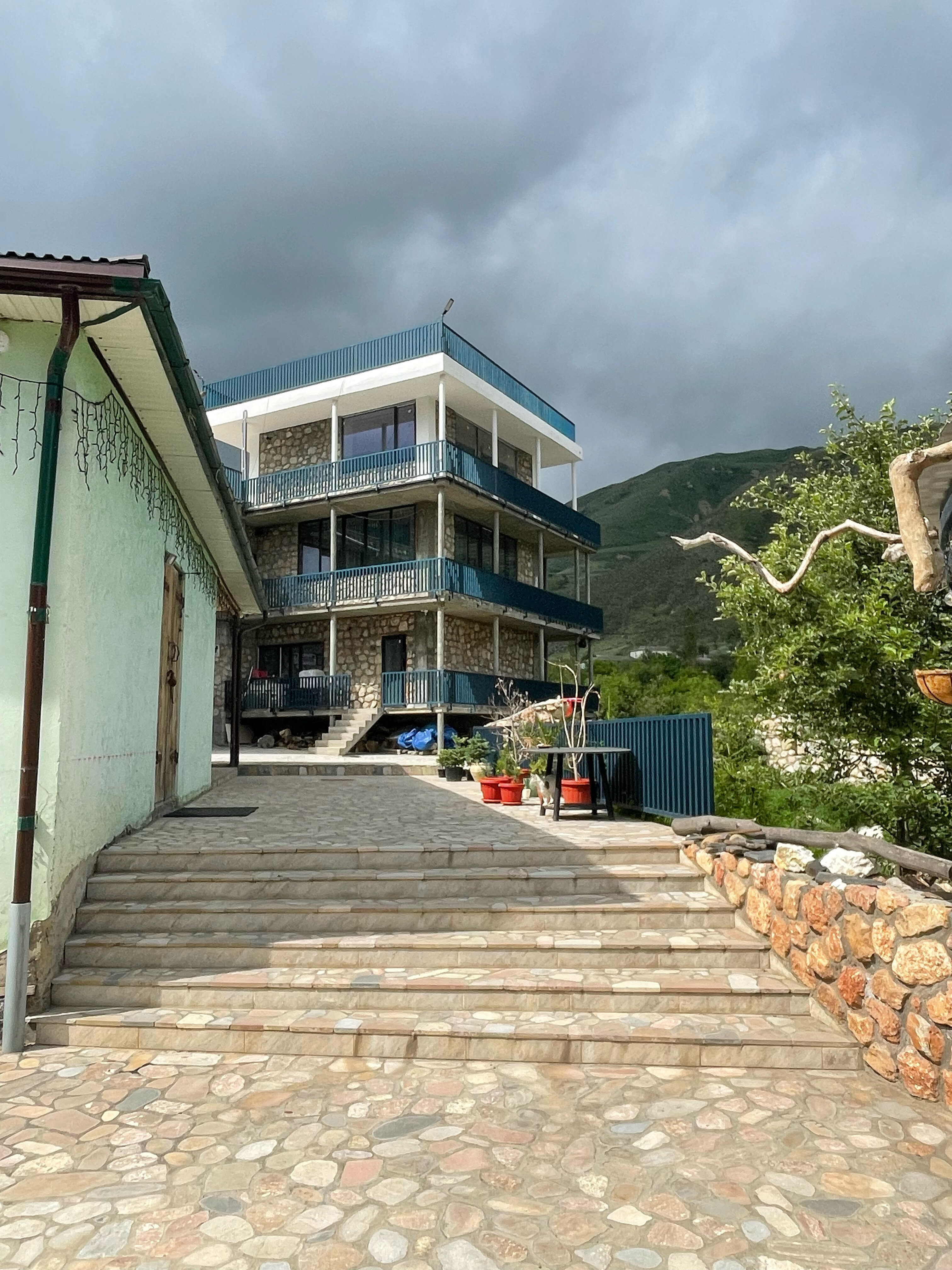 Фото Гнездо солнца