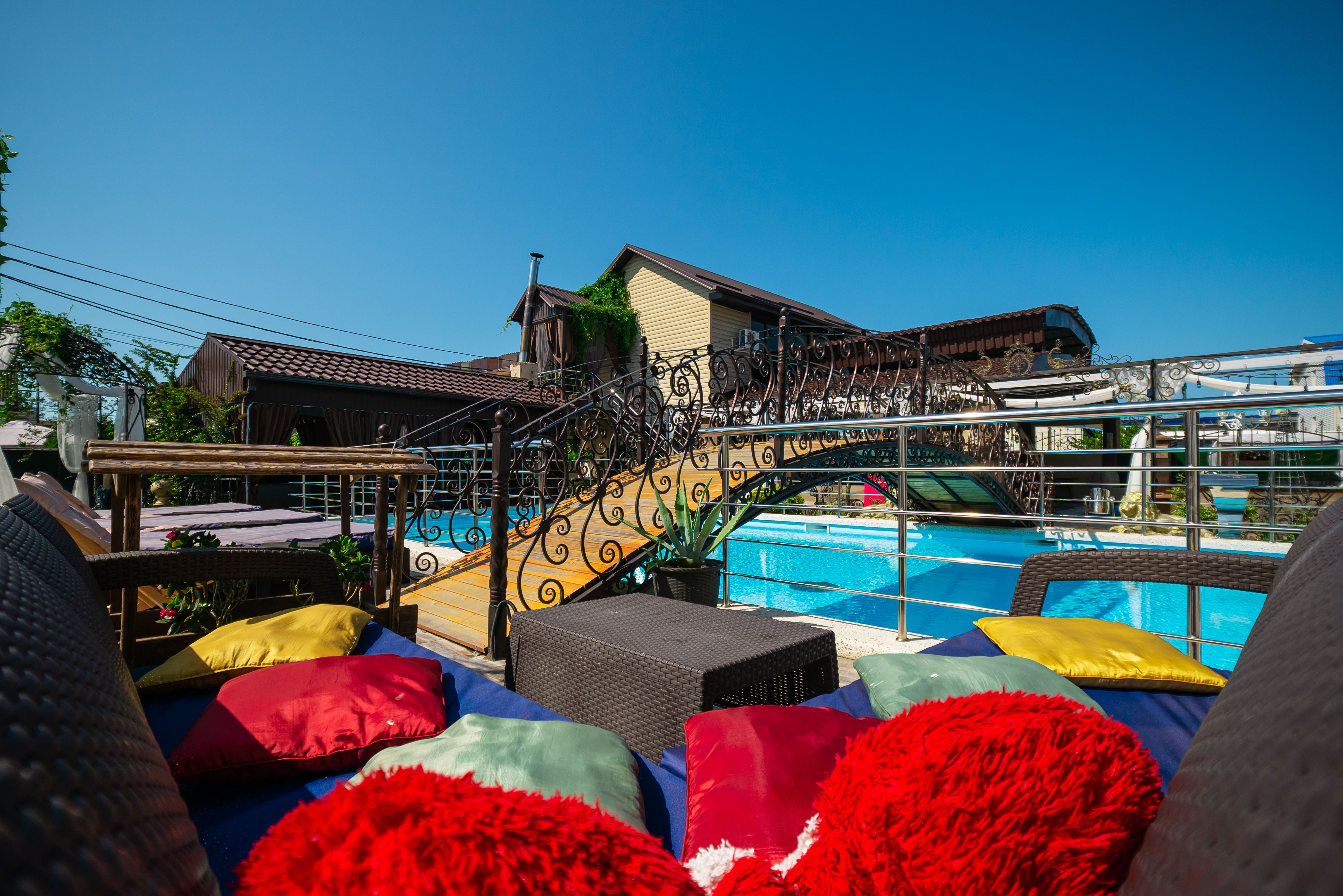 Фото Анютины Глазки