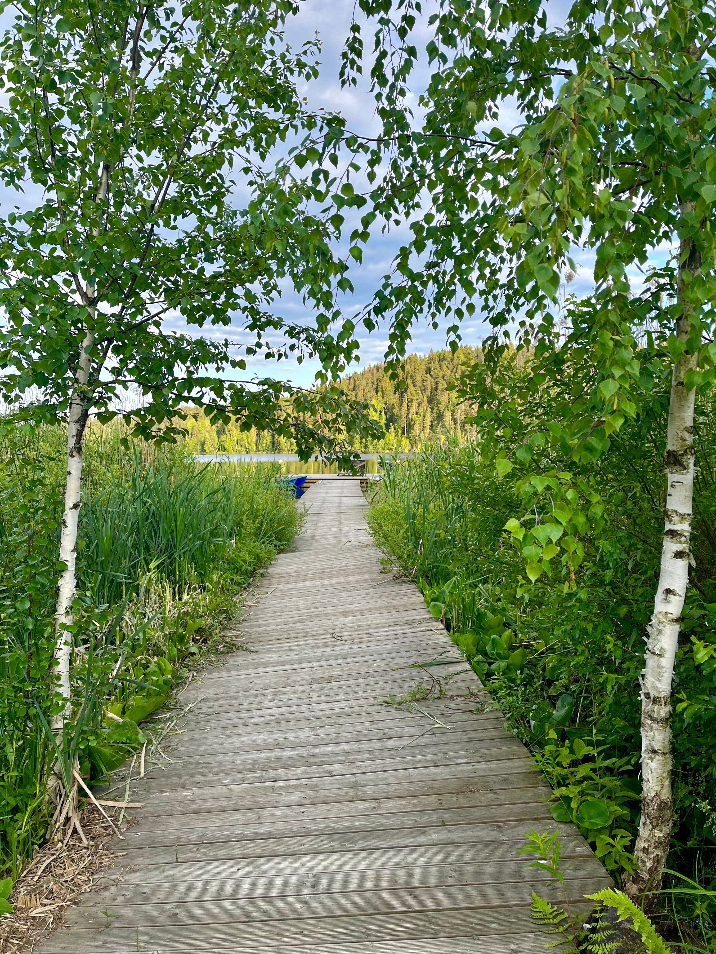 Фото Хутор Ярви