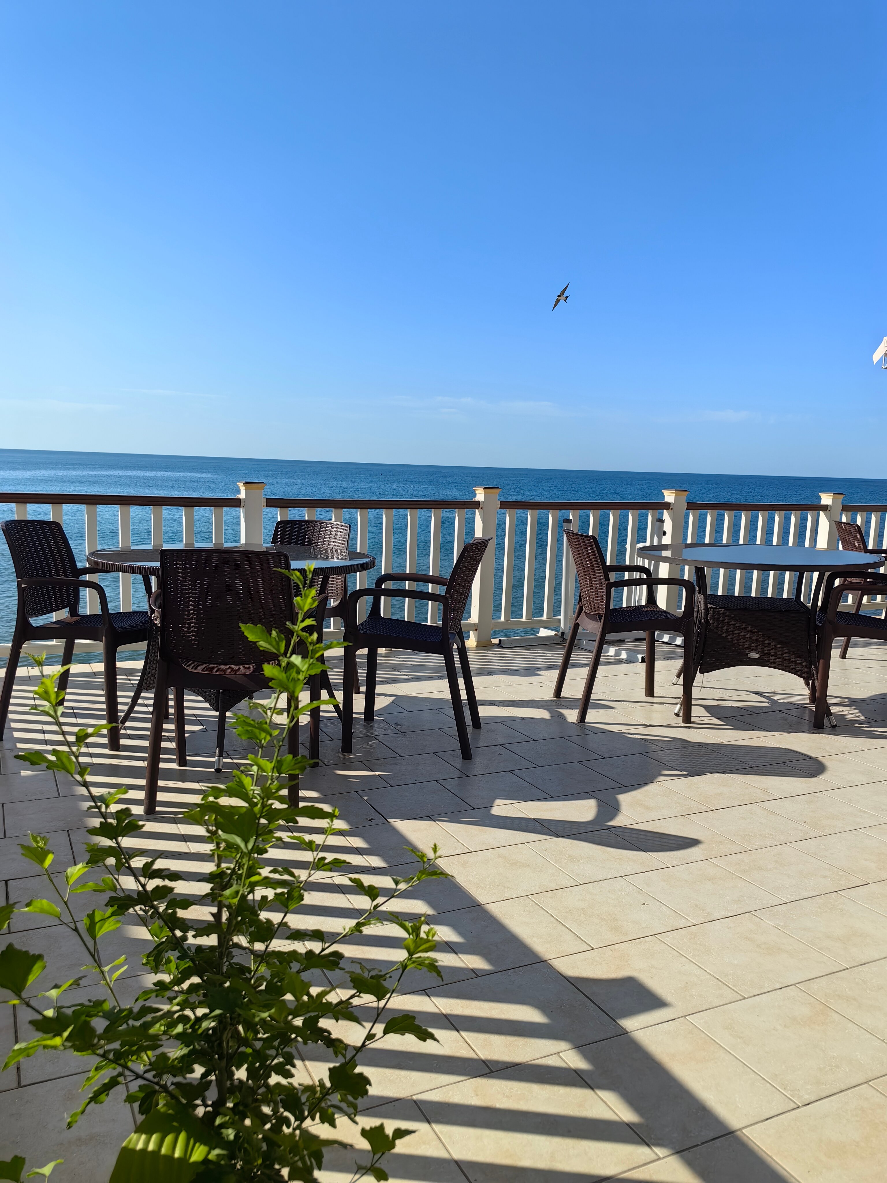 Фото Первая Линия