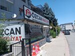 Özcan Transportation (Ankara Province, Yenimahalle, Bestepe Neighborhood, Misket Avenue, 36A), moving company