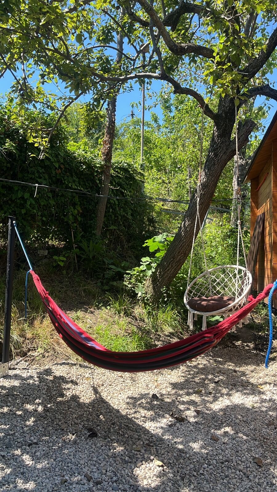 Фото Solomon House