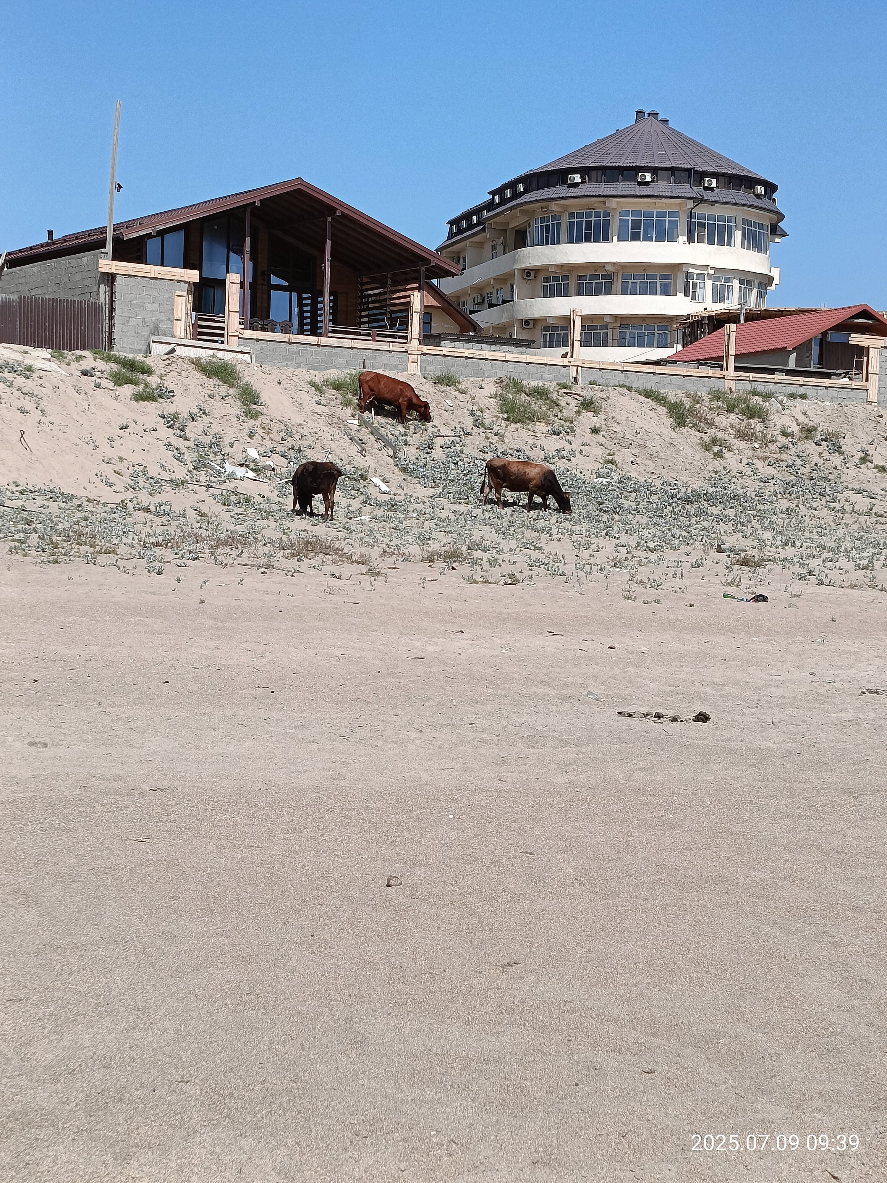 Фото Hotel Atmosphera