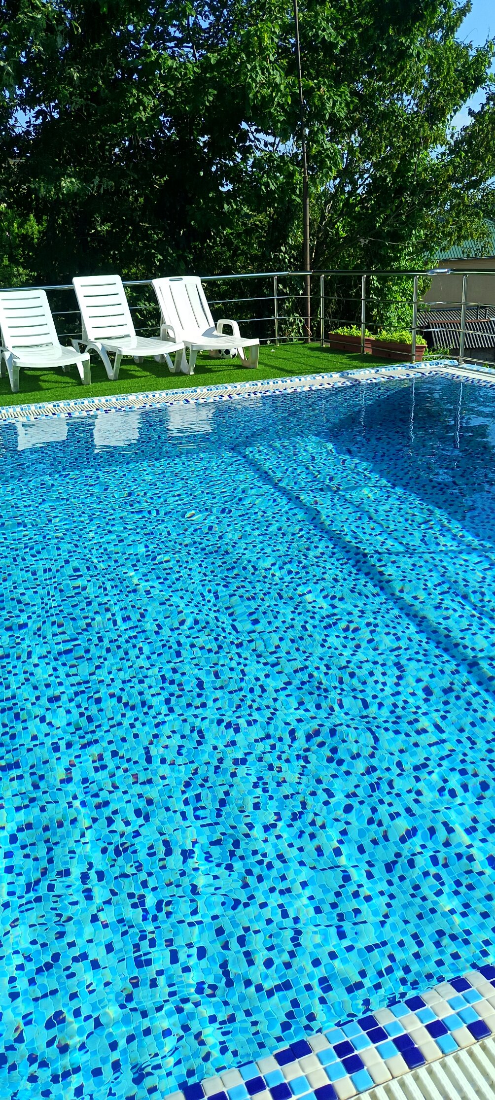 Фото Погостим на Тепличной