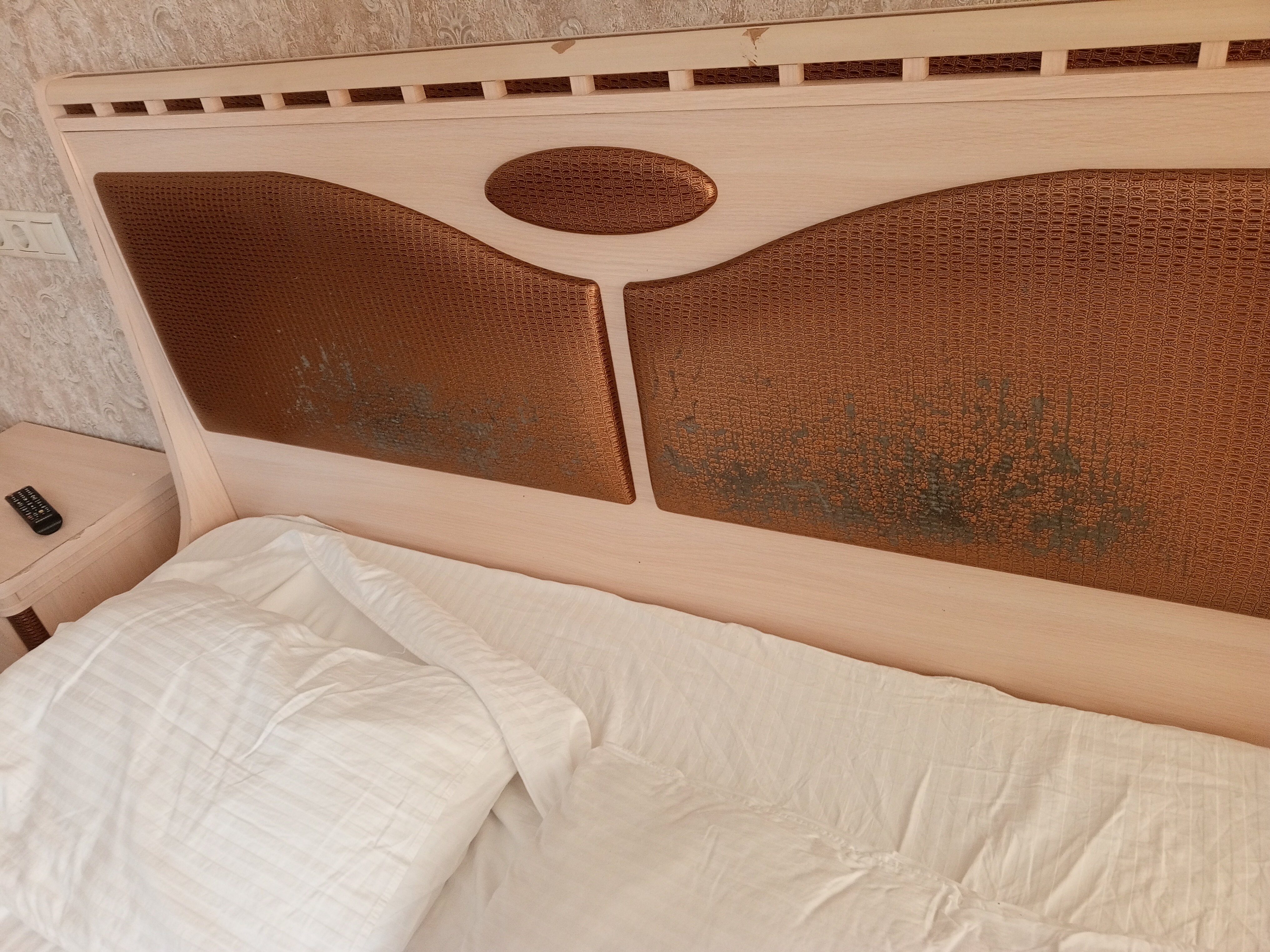 Фото Отель Кавказ