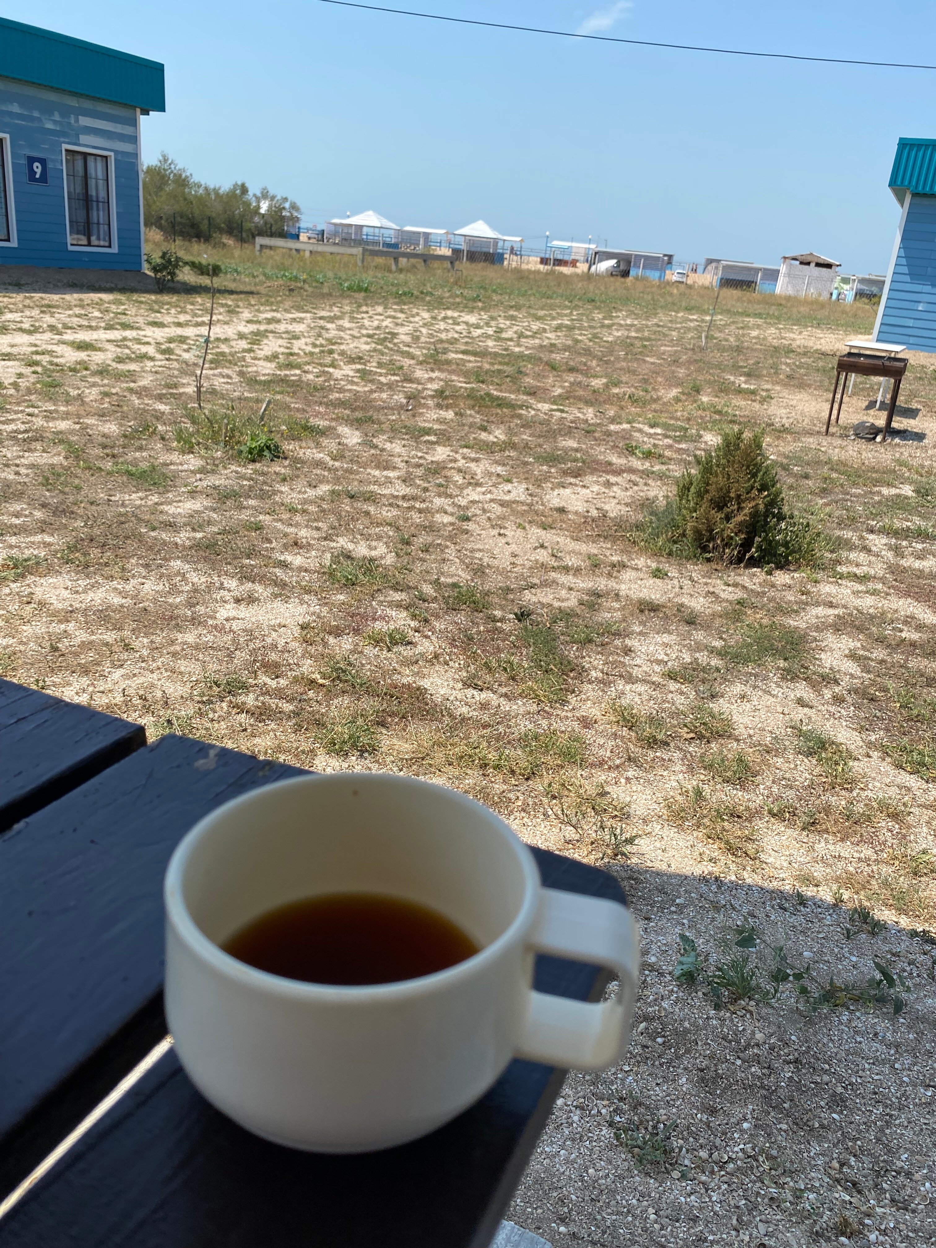 Фото Южный бриз