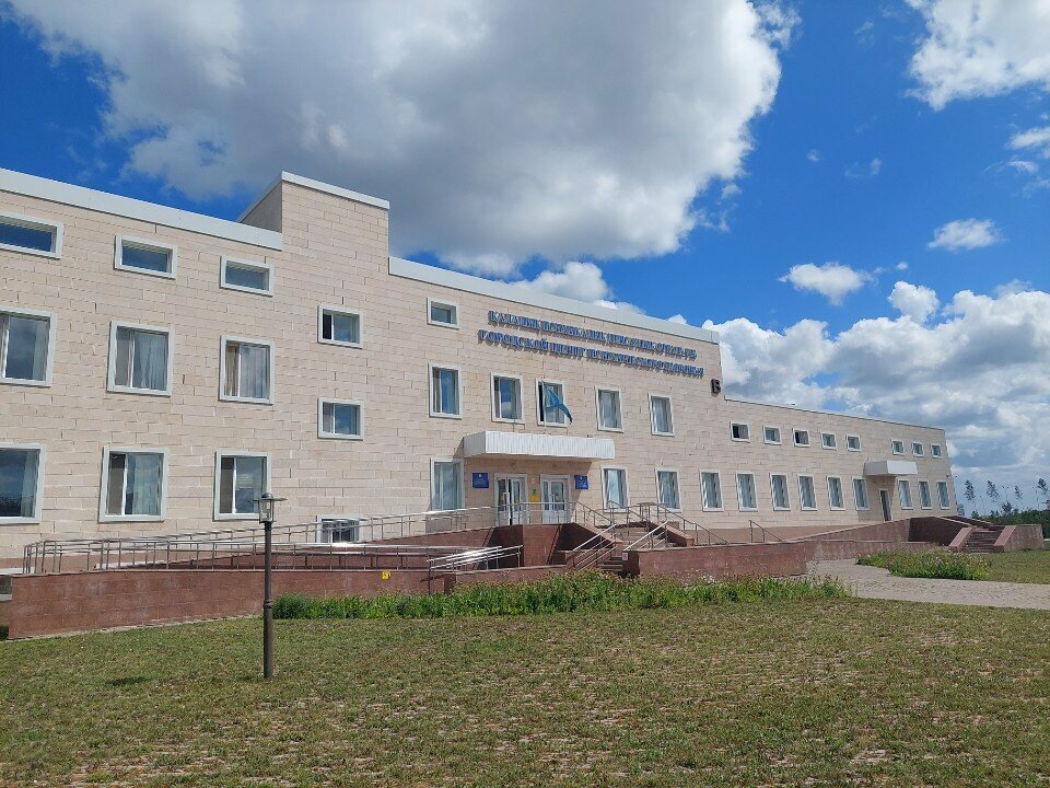 Psychological service Alcoholics Anonymous Club, Astana, photo