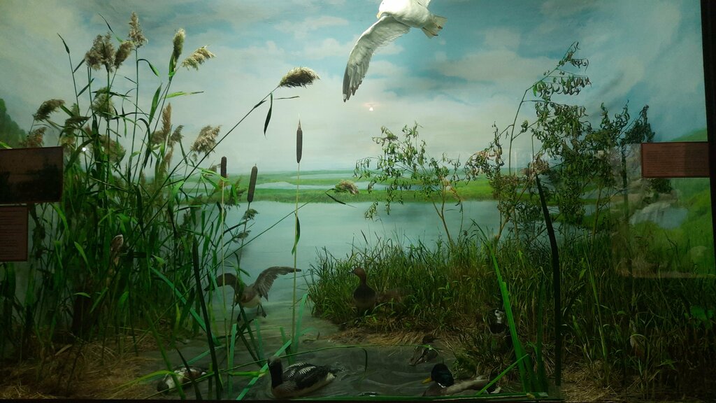 Museum Historical and Art Museum complex Museum of the Ob River, Nefteugansk, photo