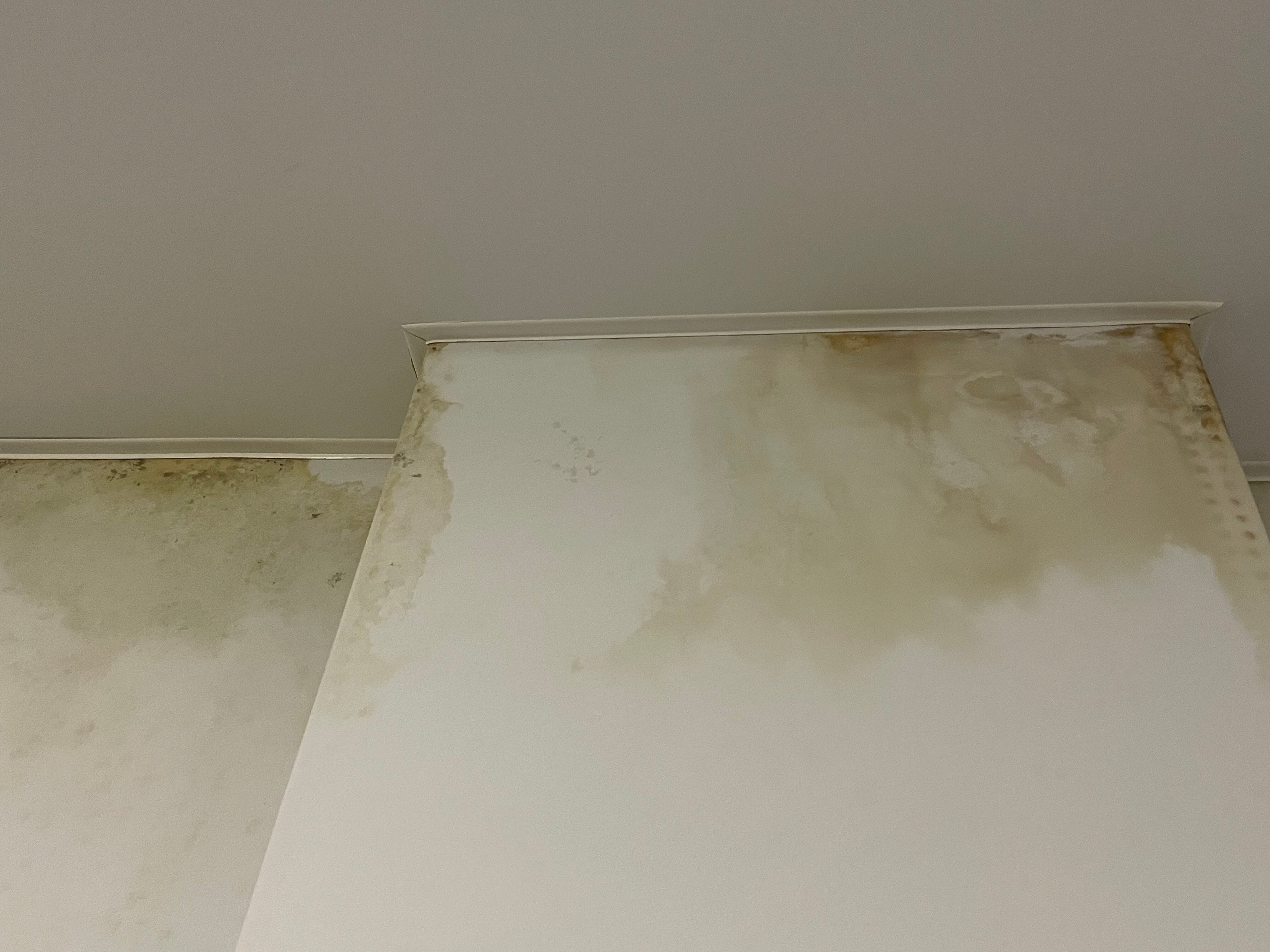 Фото Мой Питер на Ординарной, 8