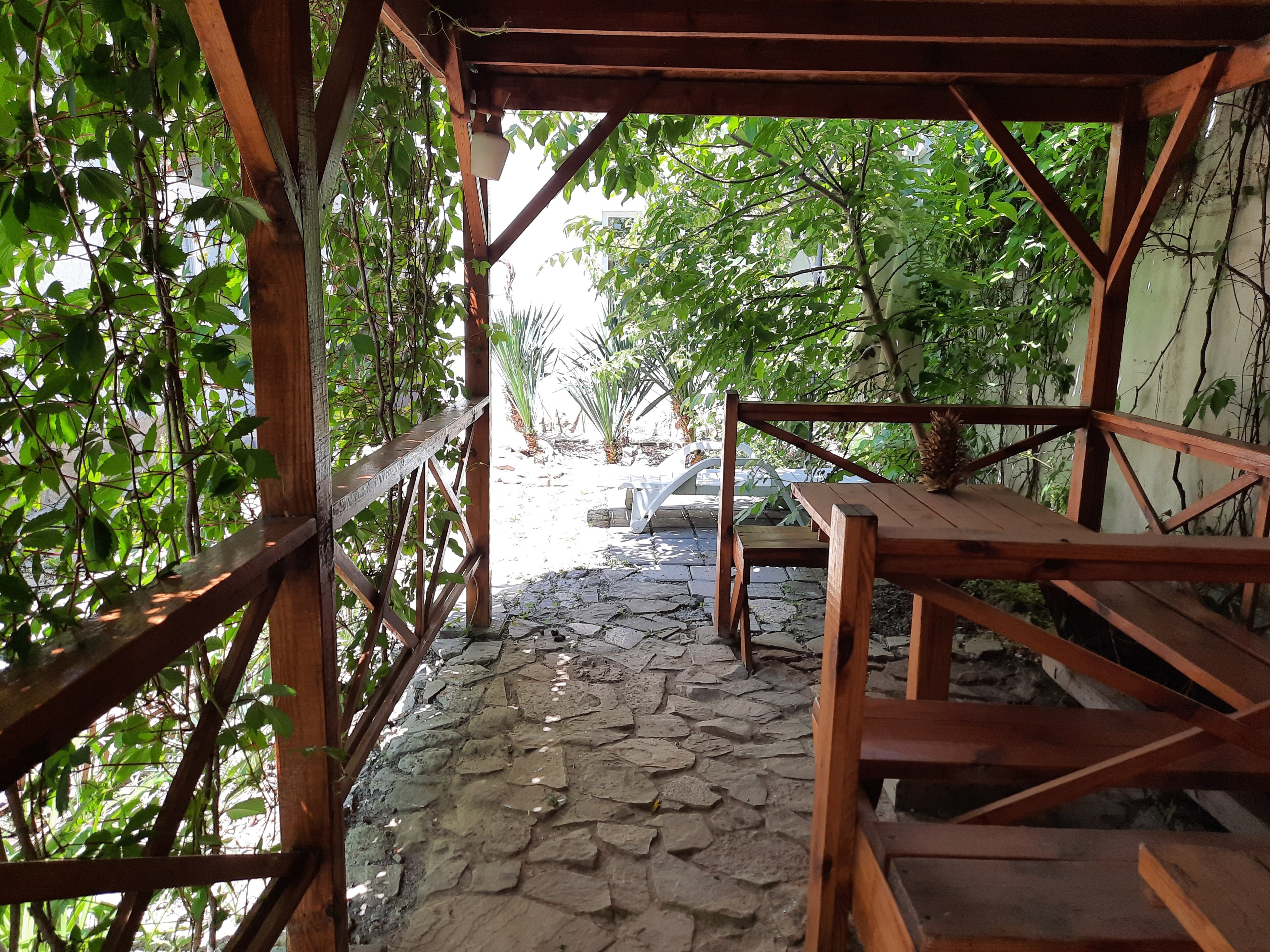 Фото Зелёный дворик