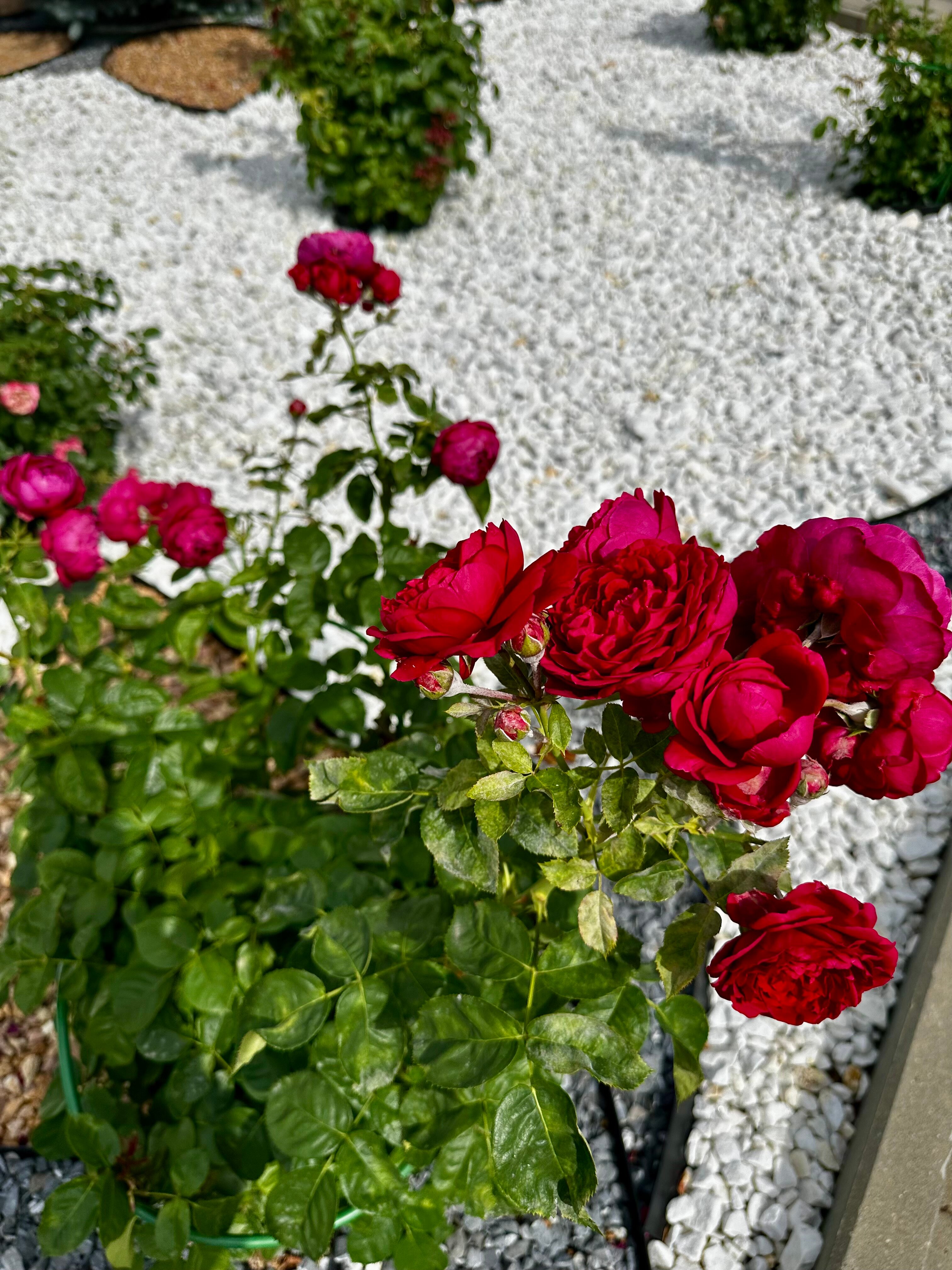 Фото Гостиница Рязань