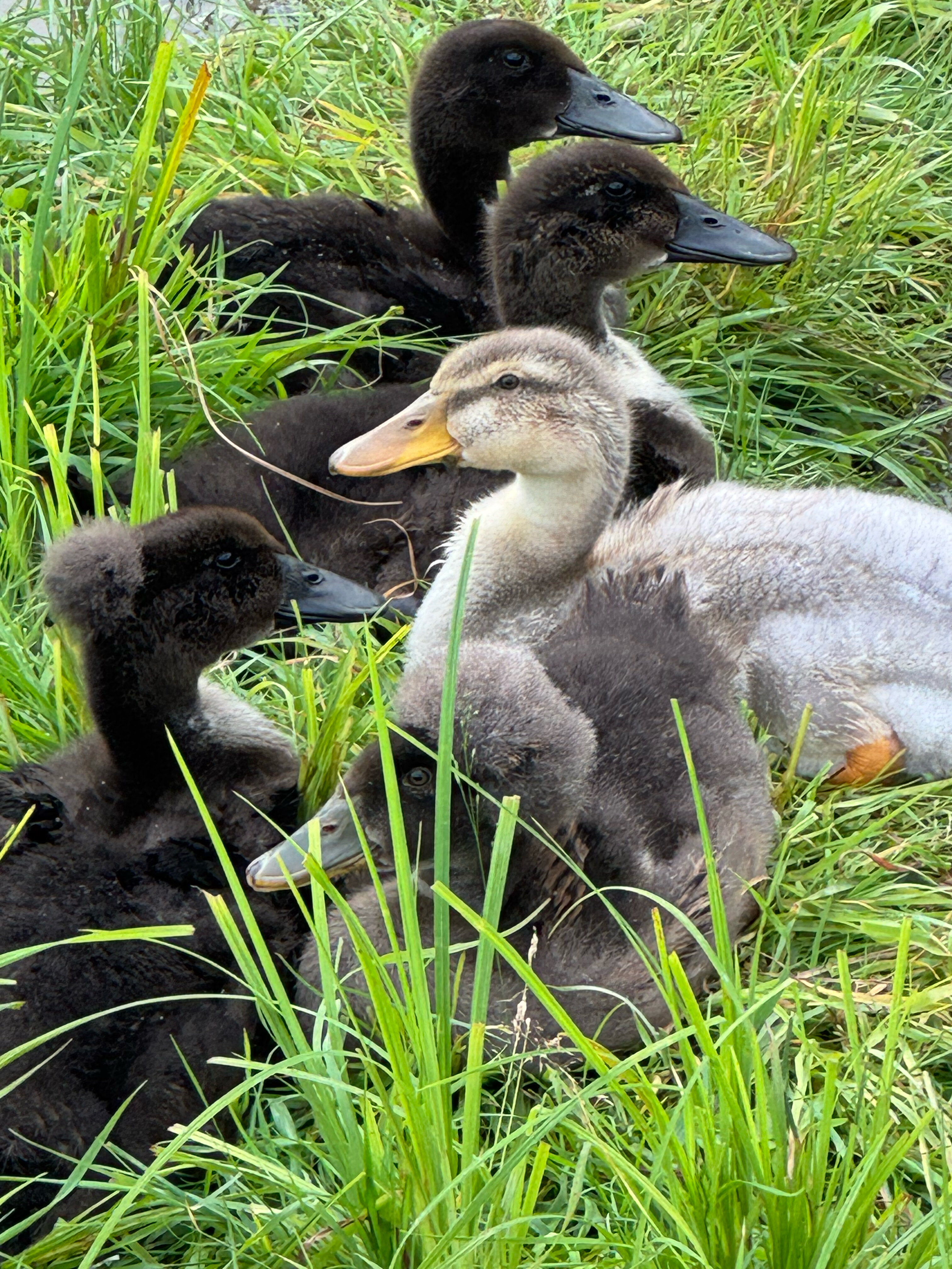 Фото Просто Эко
