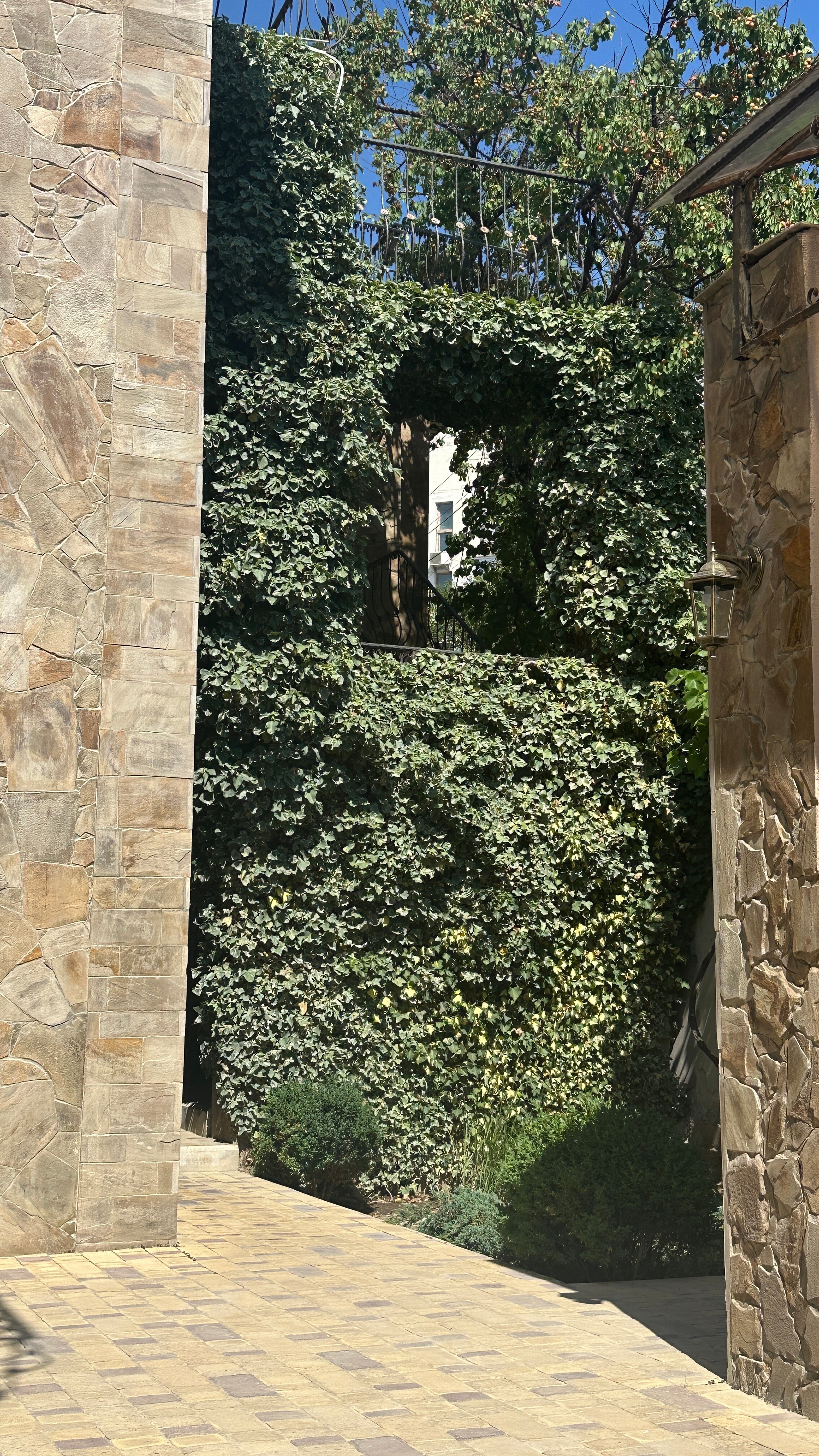 Фото У Старого Абрикоса