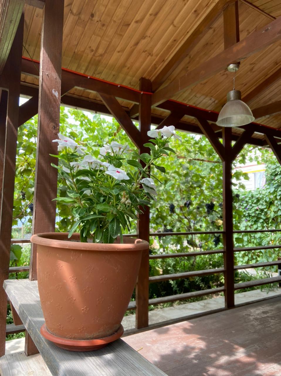 Фото Дом у реки