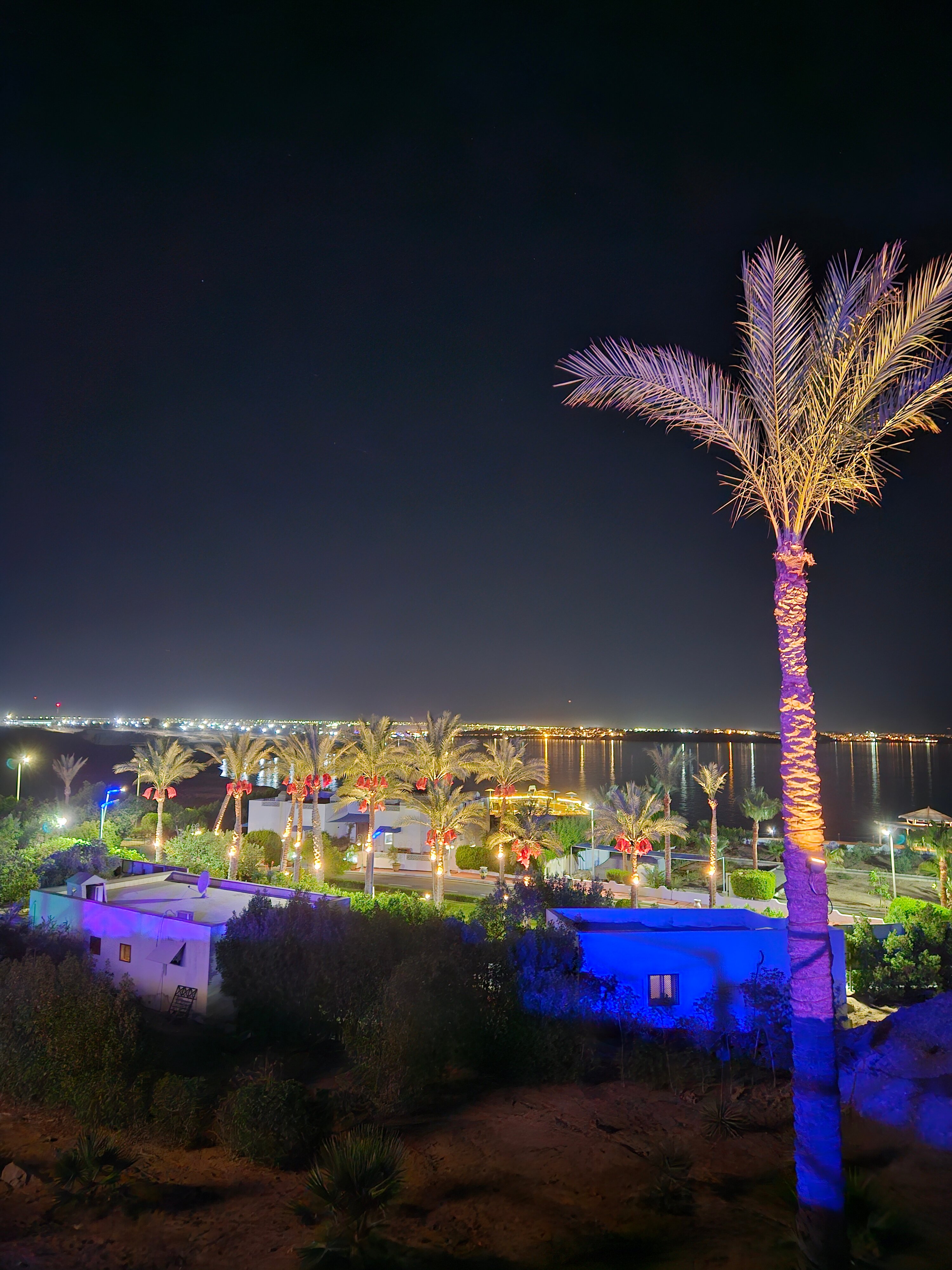 Фото Club Reef Resort