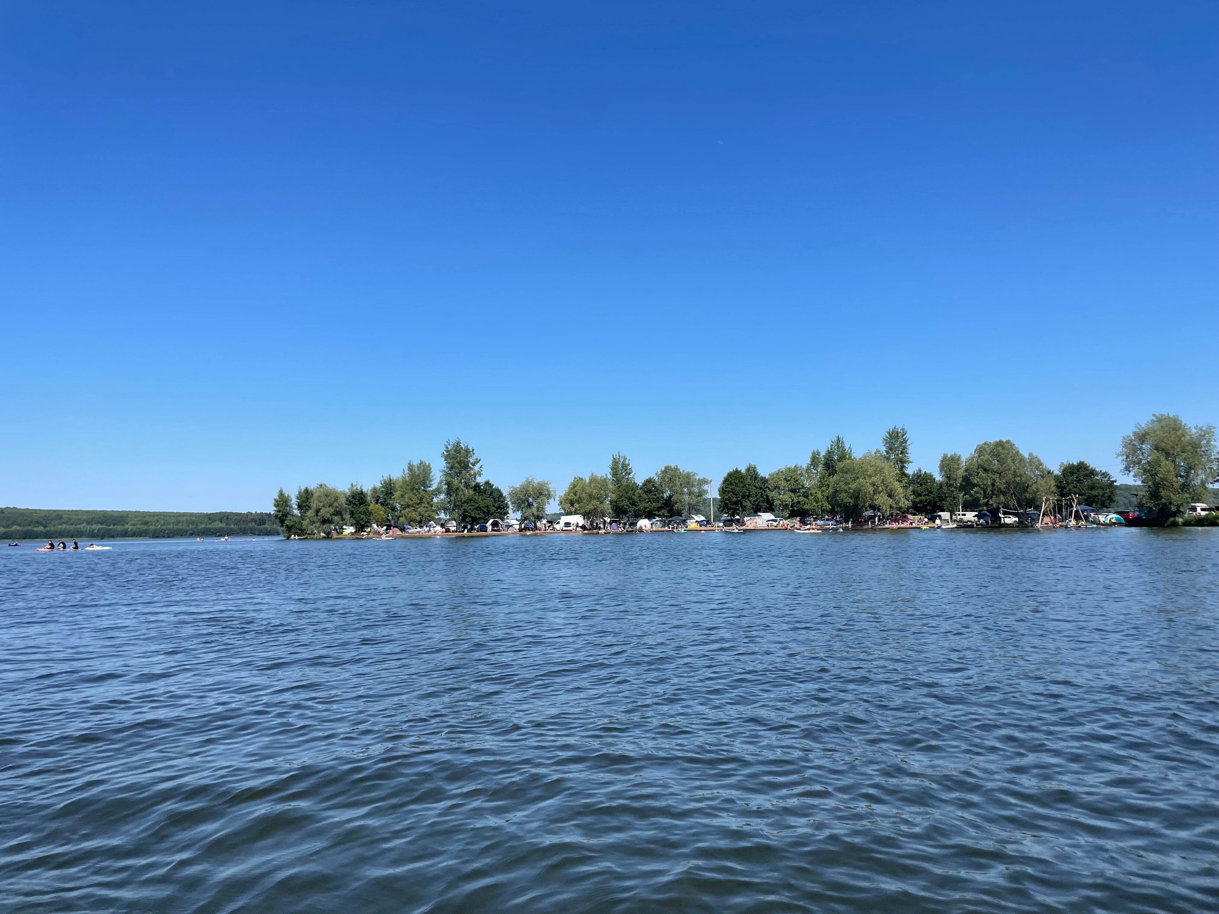 Фото Облепиха