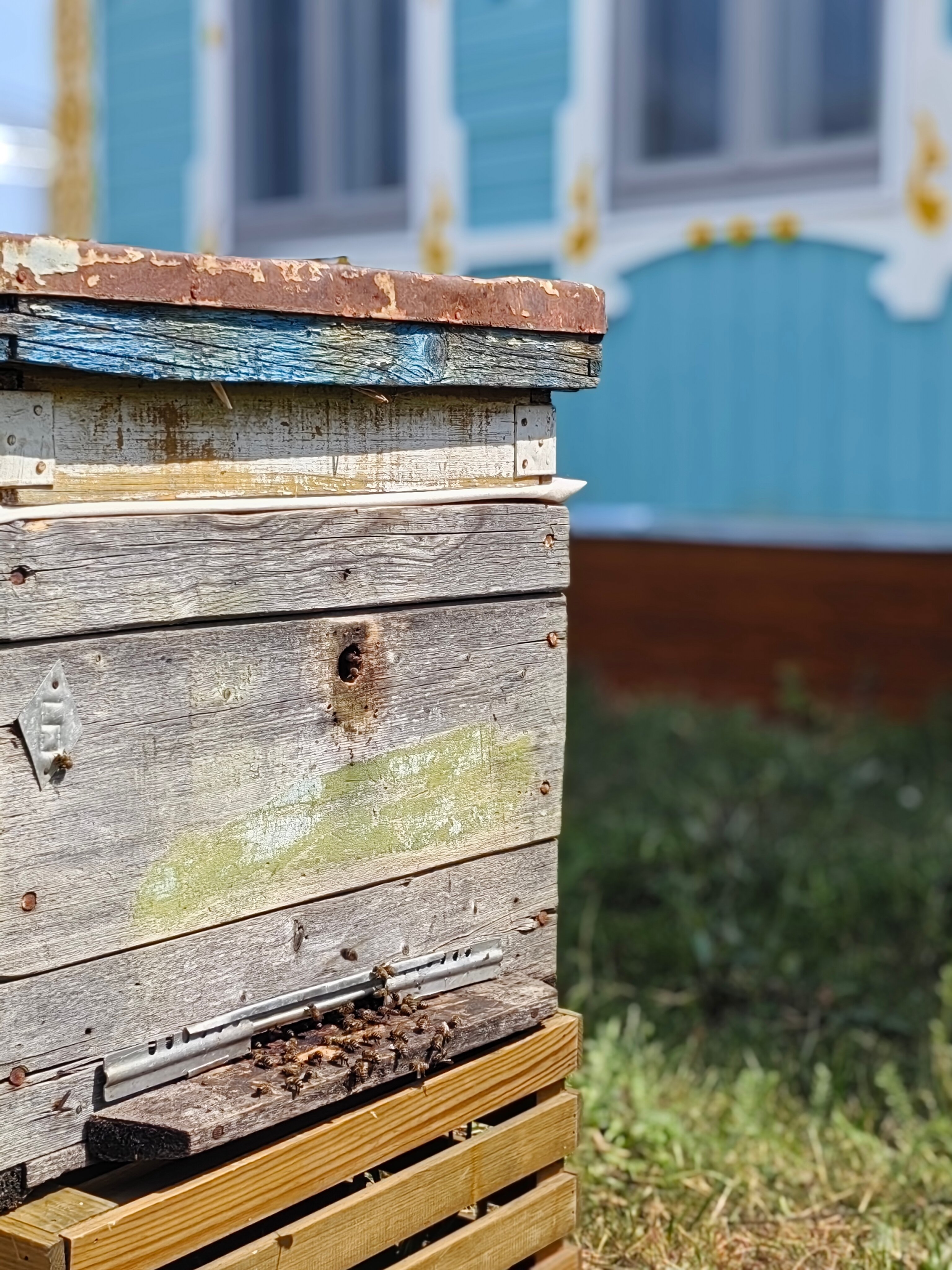 Фото Хвалынская усадьба