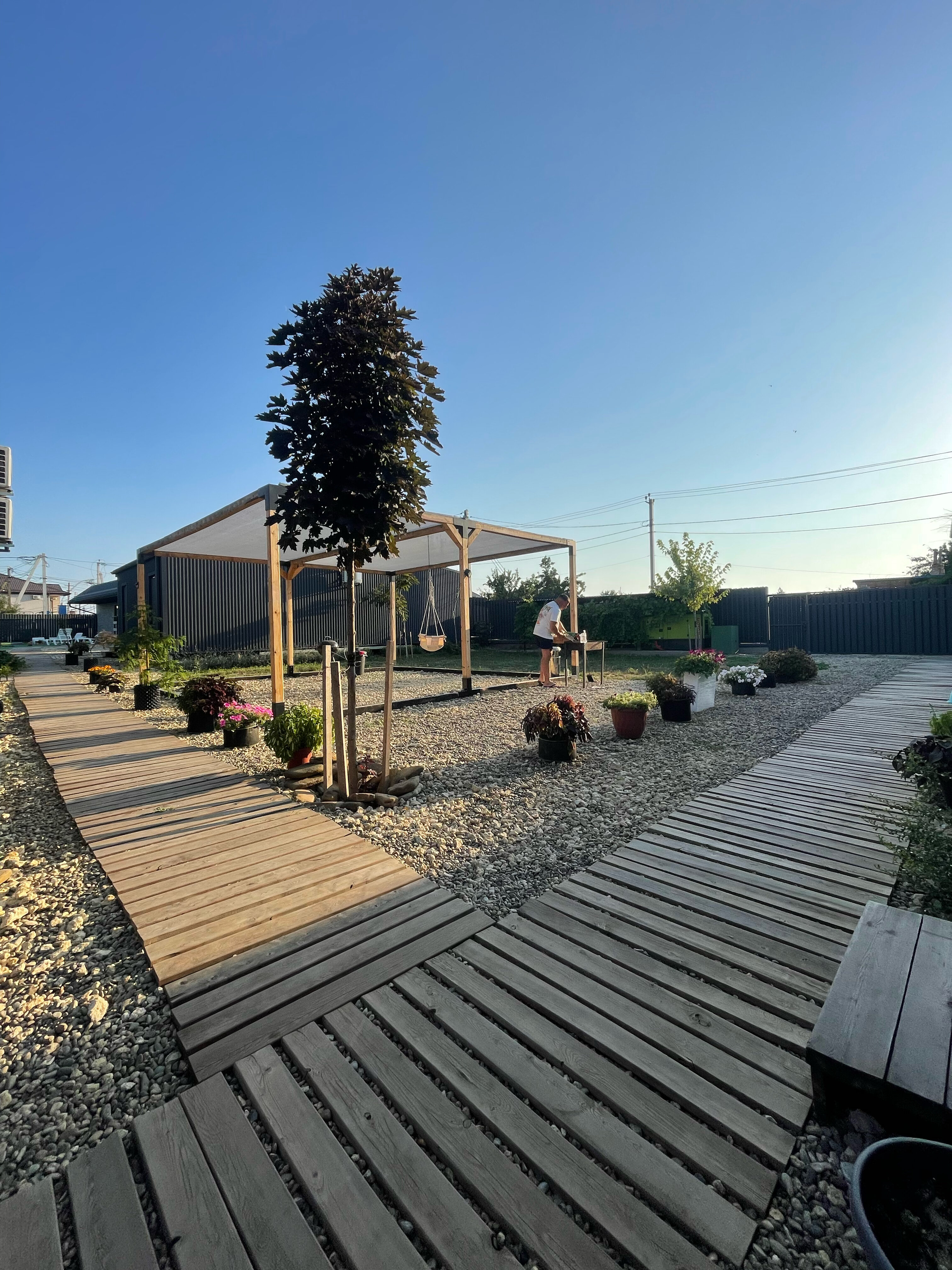 Фото Клевер