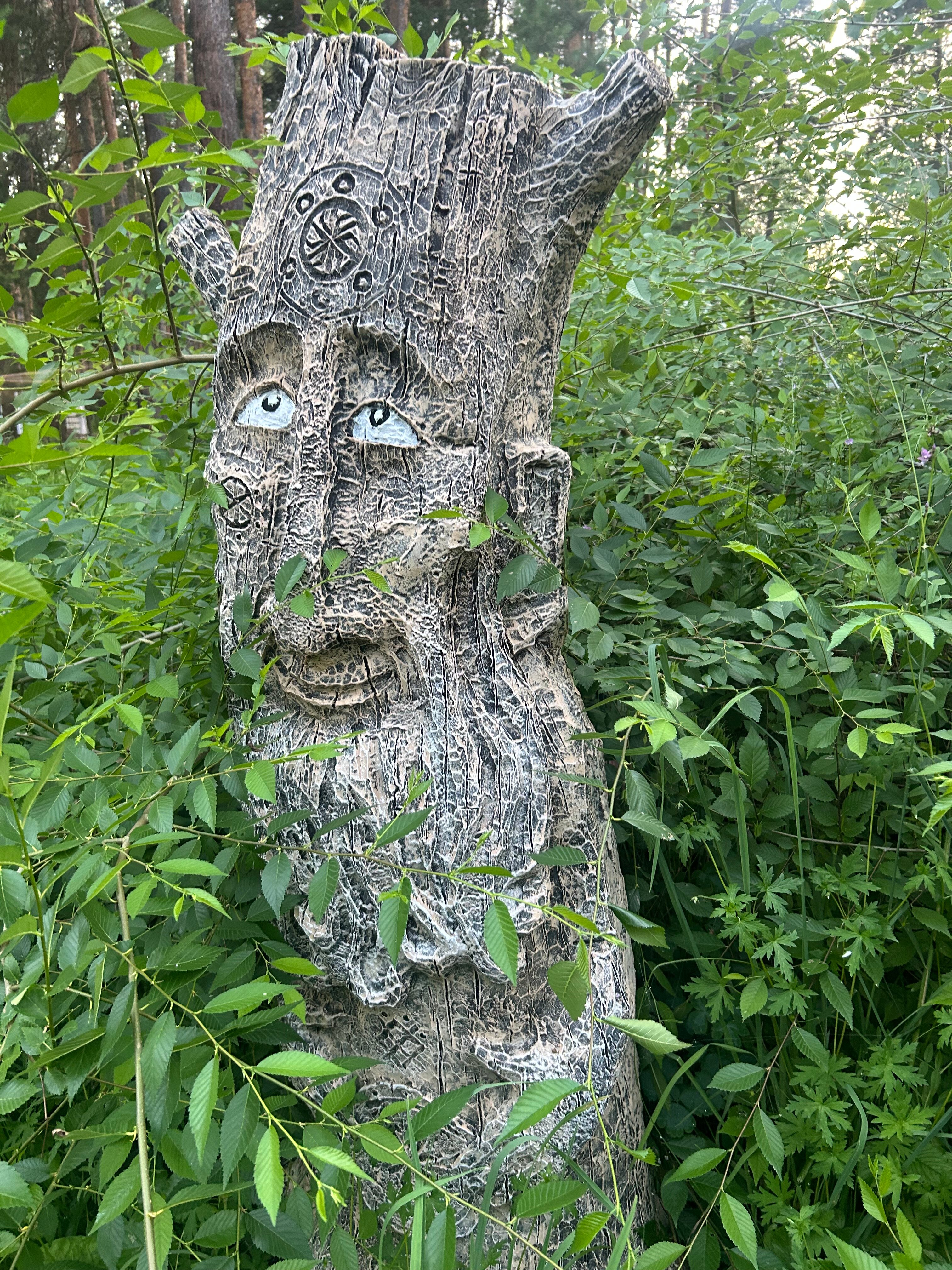 Фото Мишкины Шишки