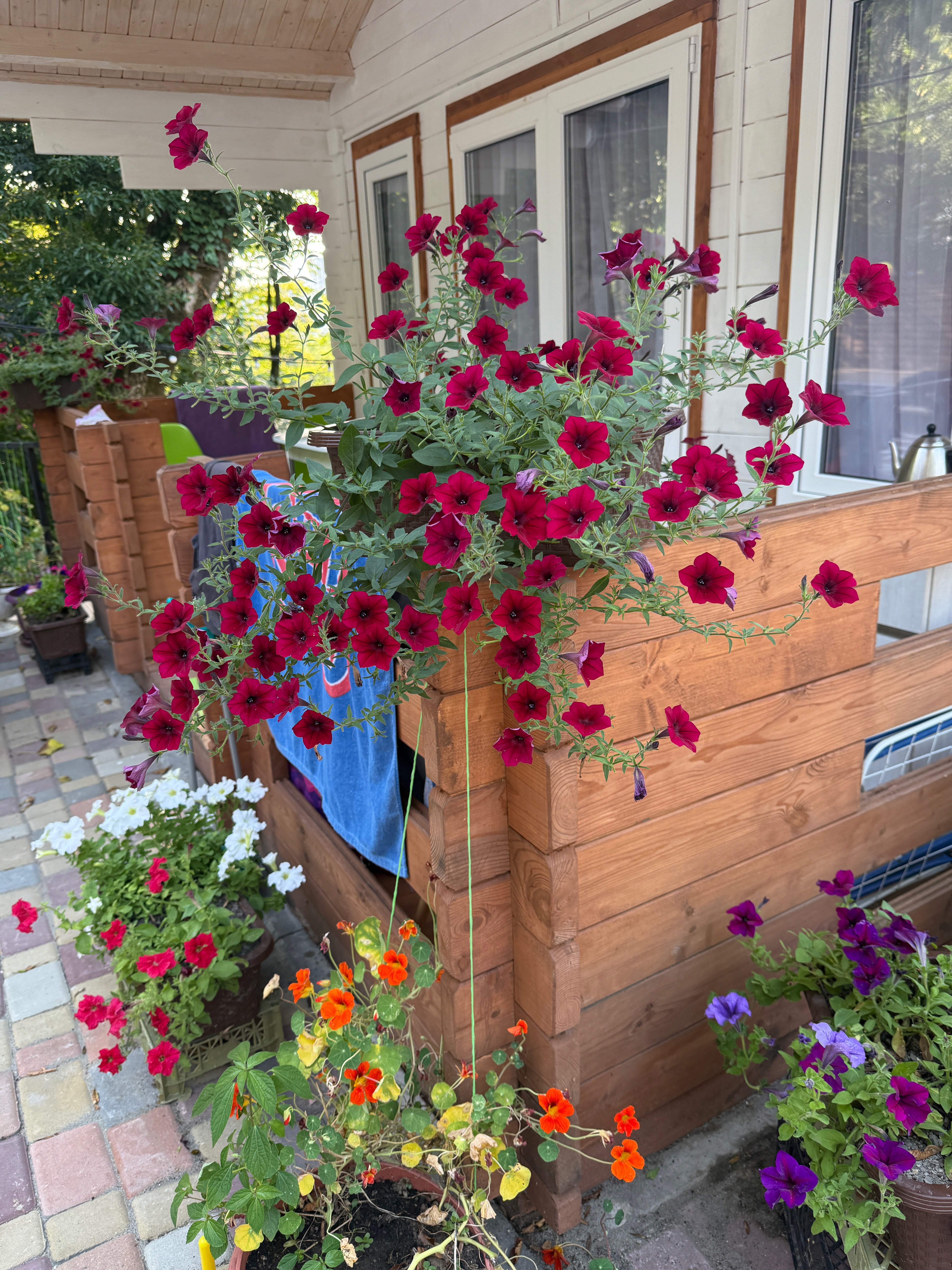 Фото Лесные домики