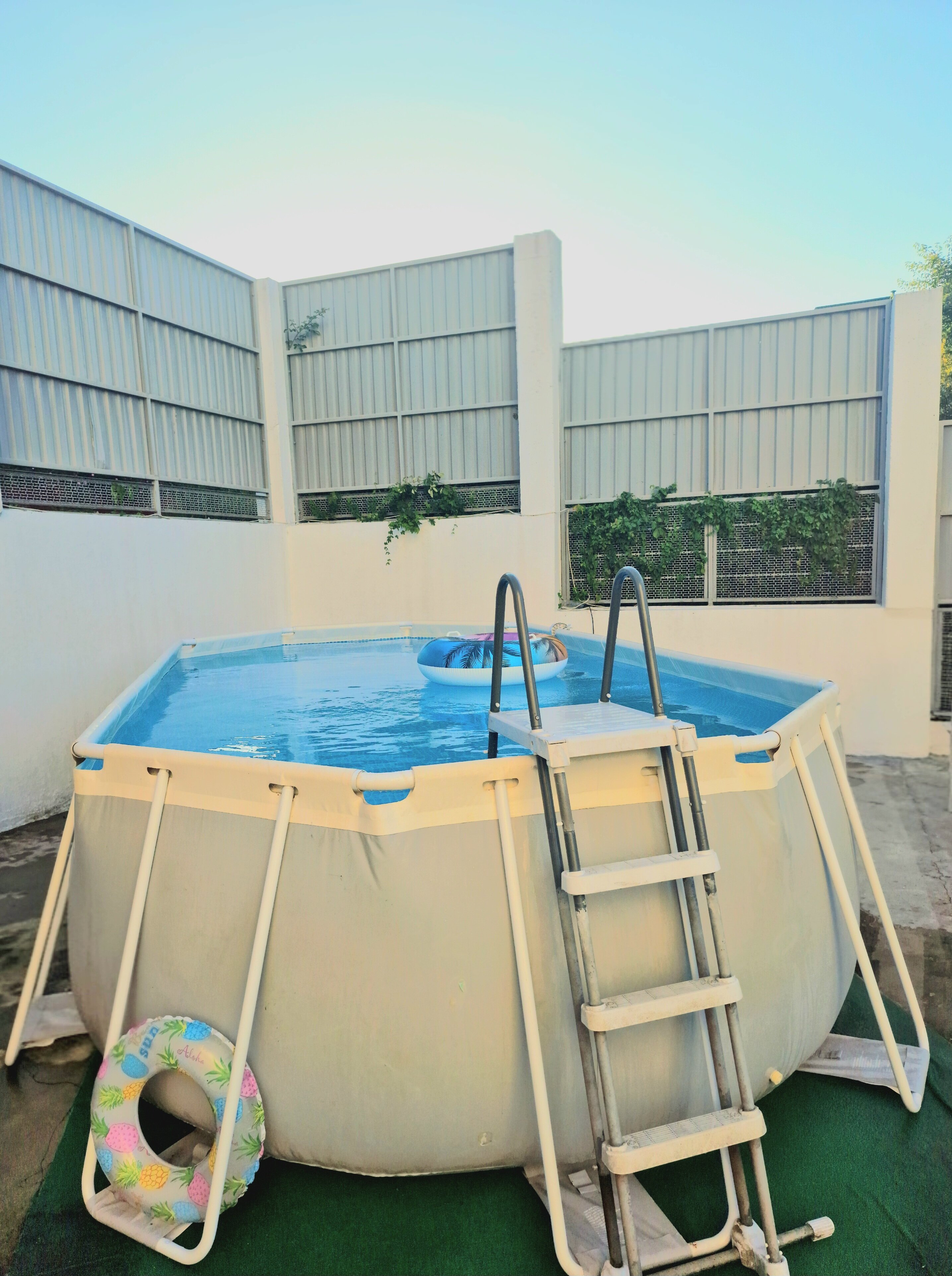 Фото Белые Росы