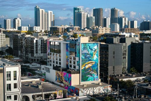 Гостиница Moxy Miami Wynwood в Майами