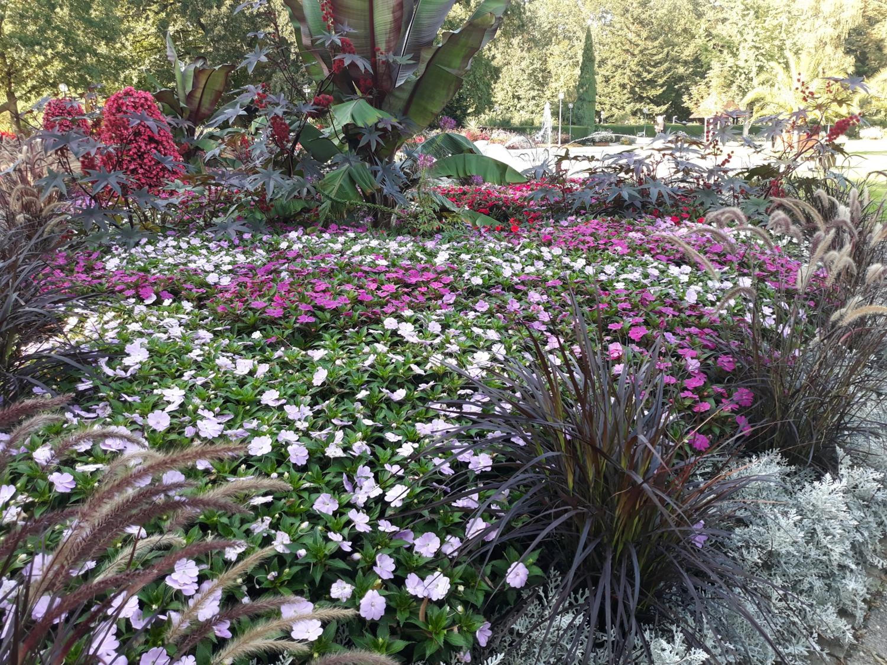 Фото Haus an der Therme