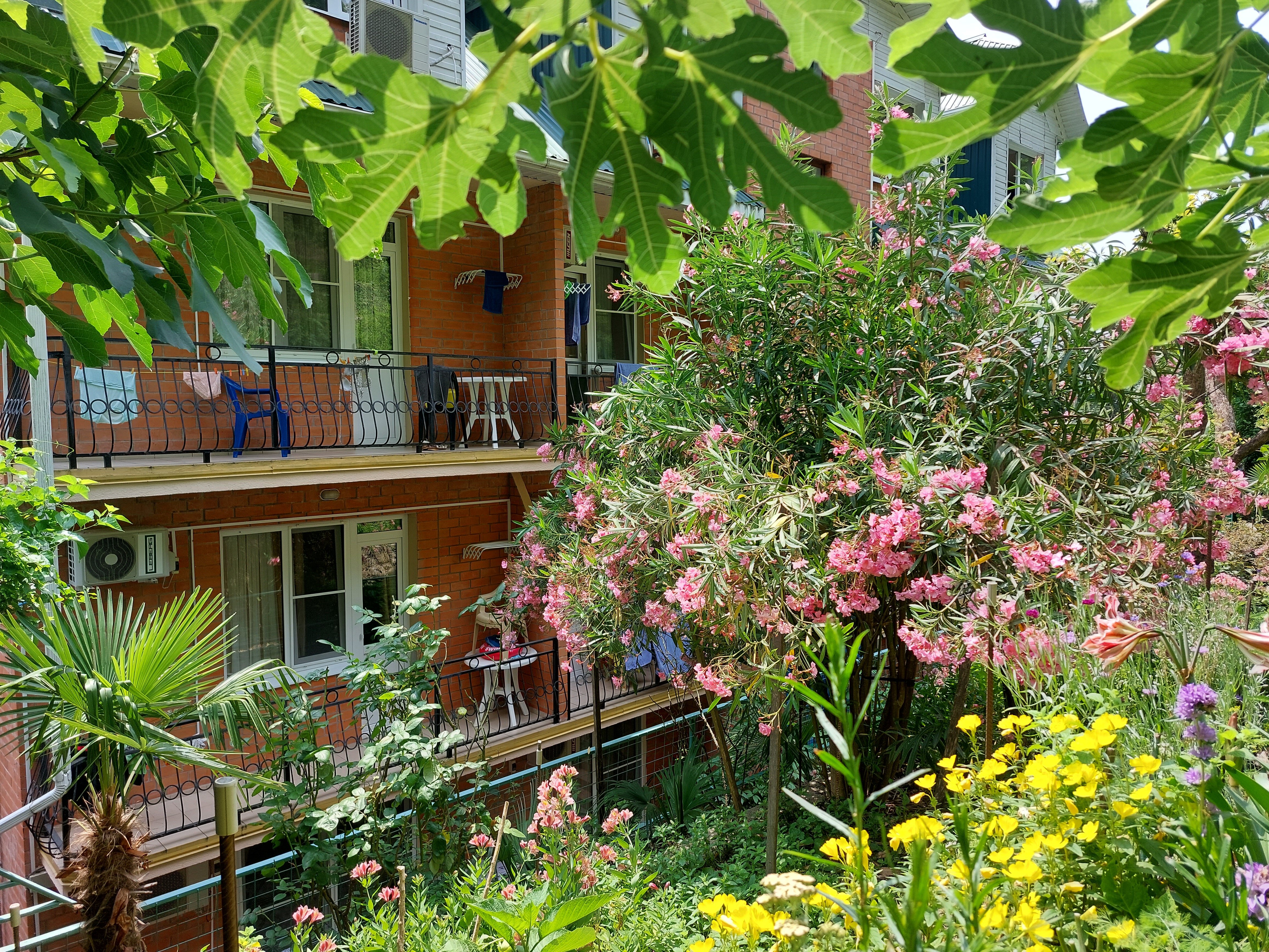 Фото отеля 4