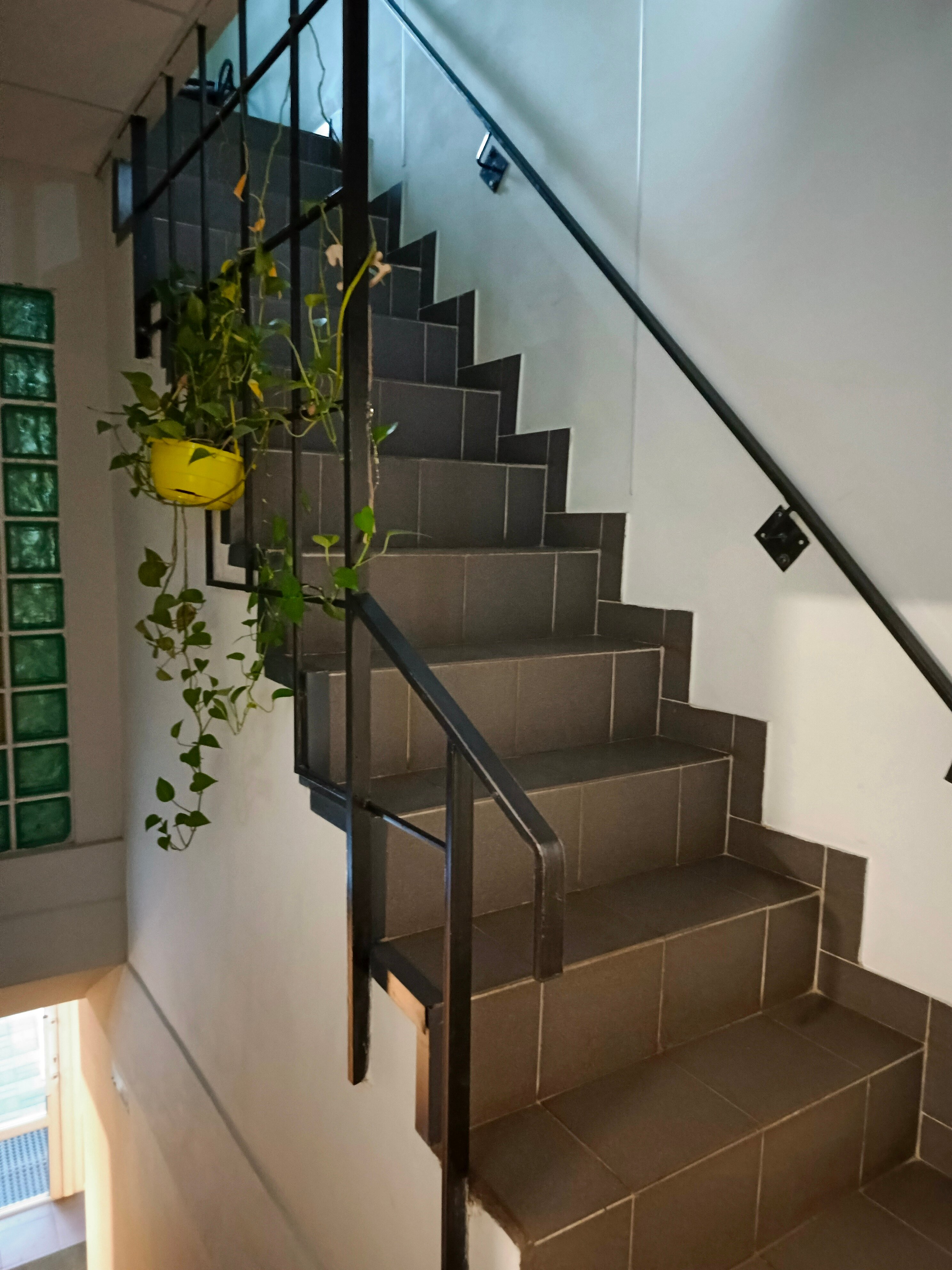 Фото Сканди Хаус