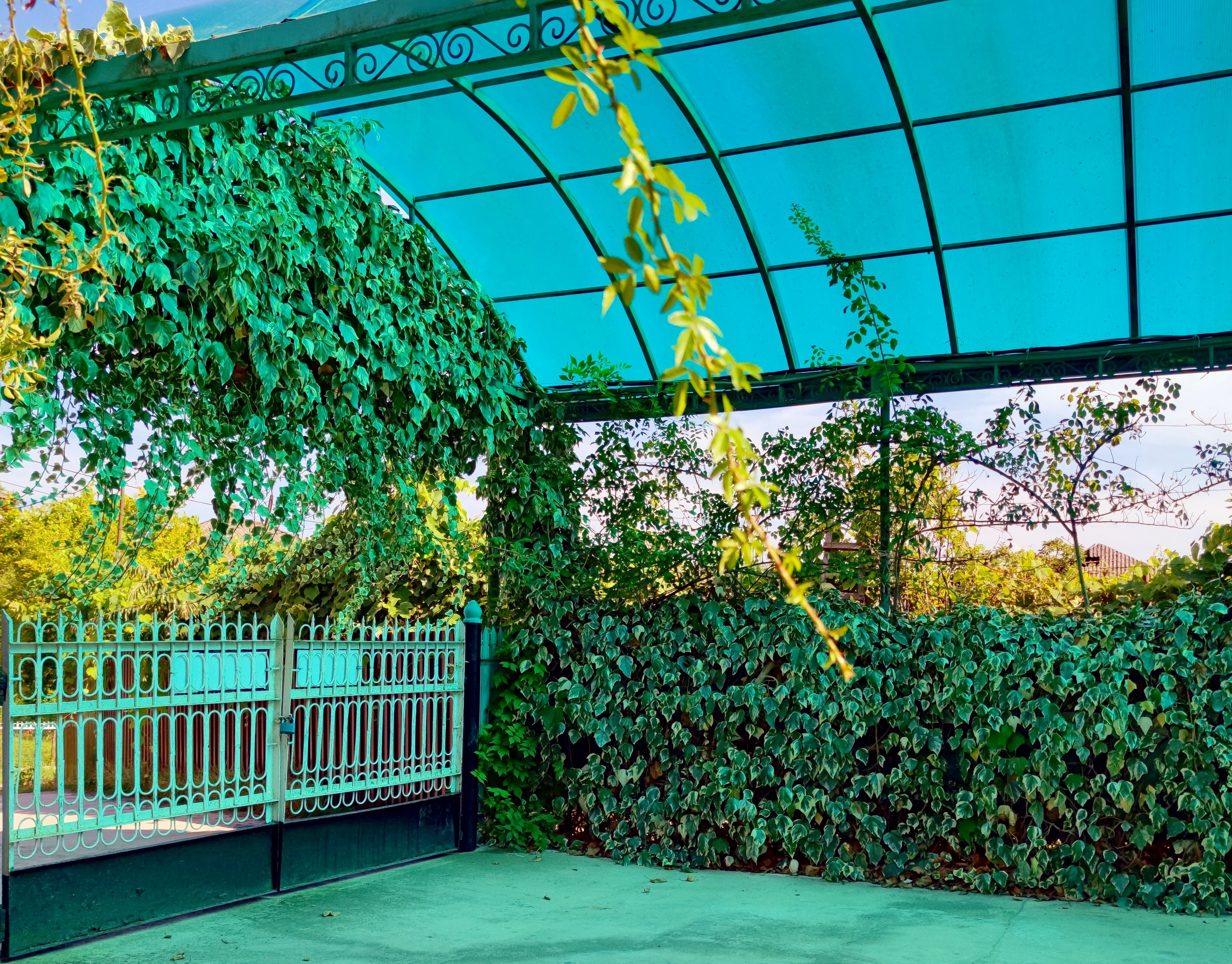 Фото Гостевой дом