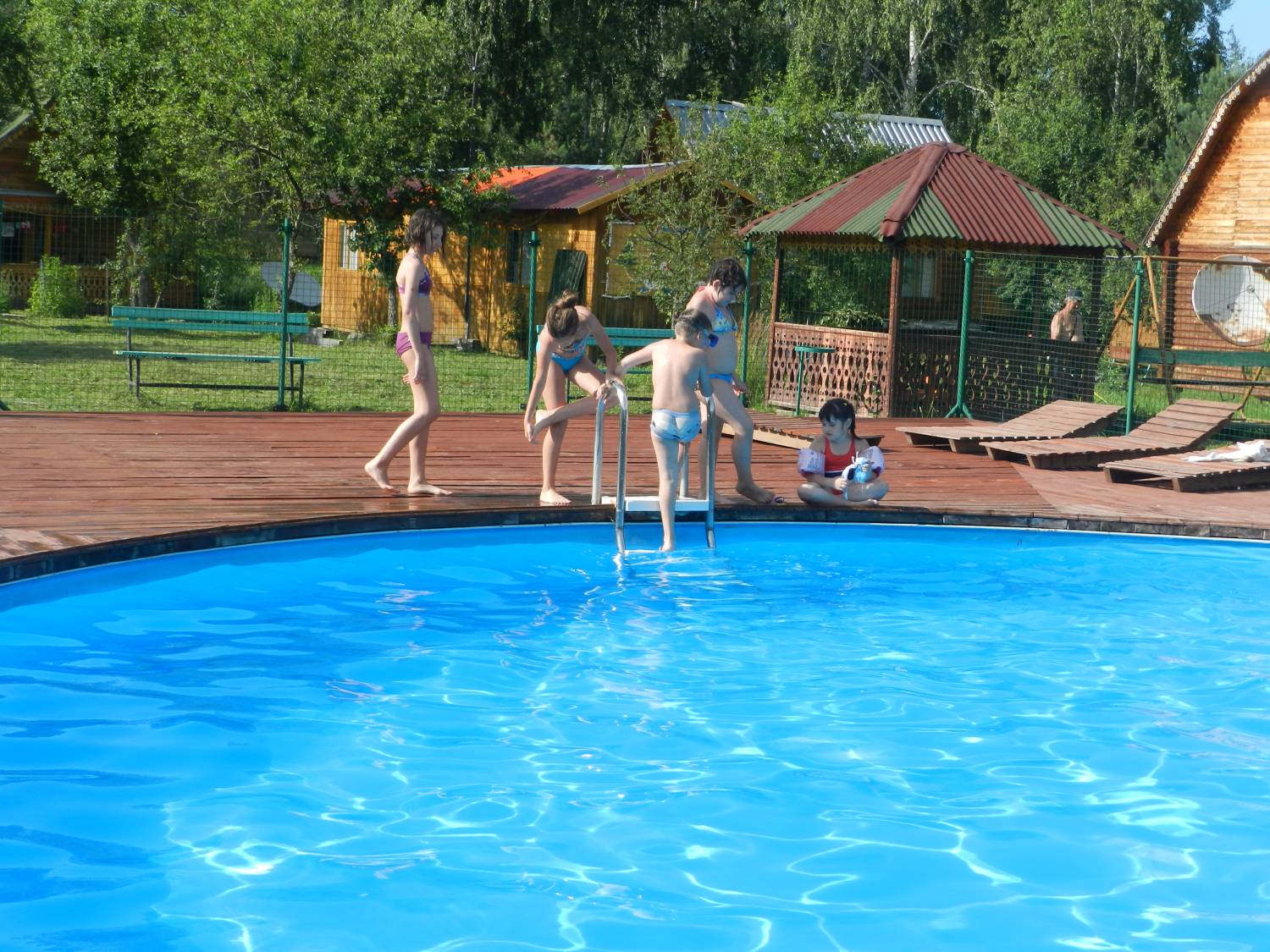 Фото Летний сад