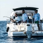 Marine Electronics, Cesme Marina (Izmir, Cesme District, Musalla Neighborhood, 1016th Street, 2/31), electronics store