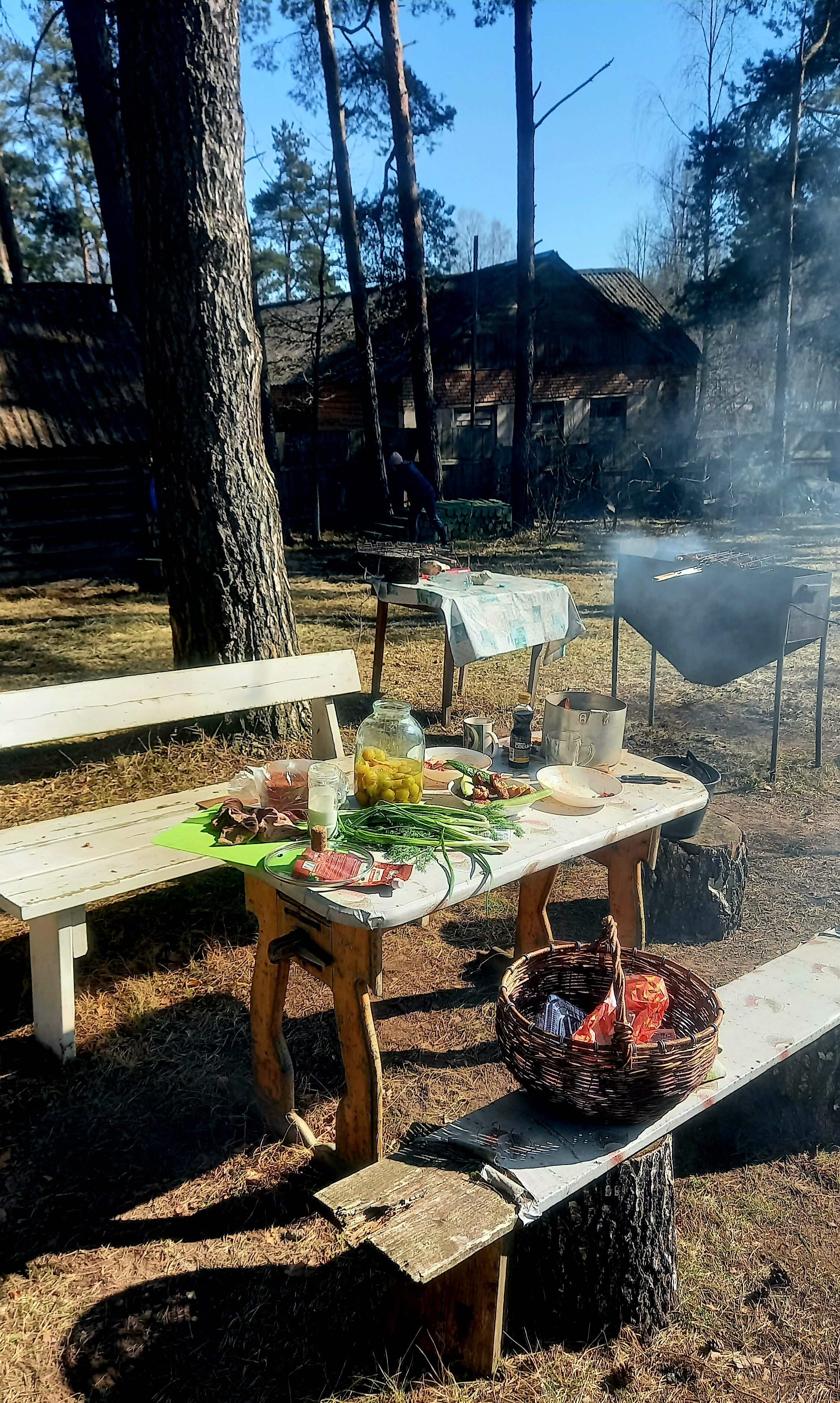 Фото Дом у сосен