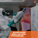 Мангуст (Michurina Street, 18), desinfección, desinsectación, desratización