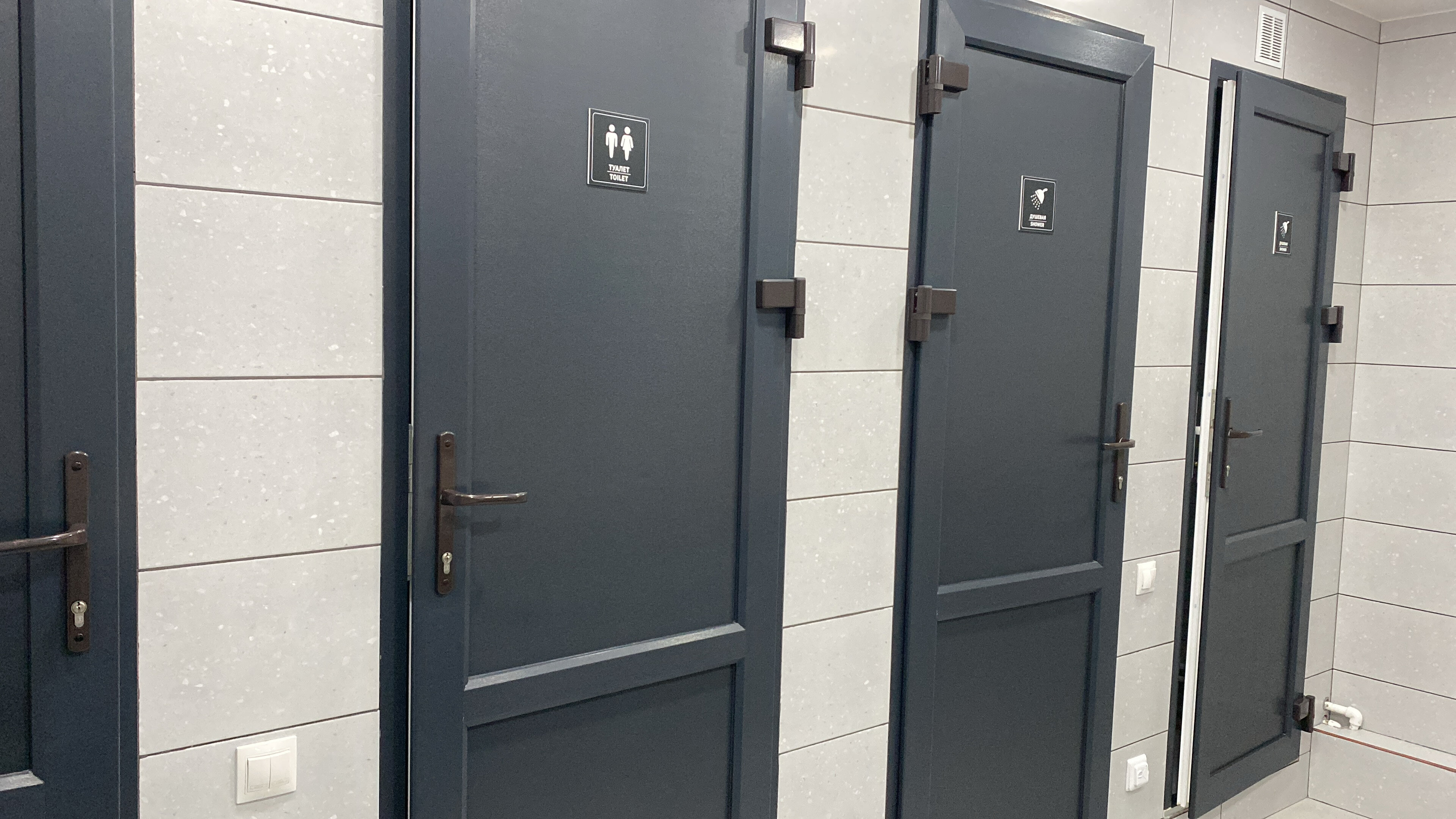 Фото Берёзка