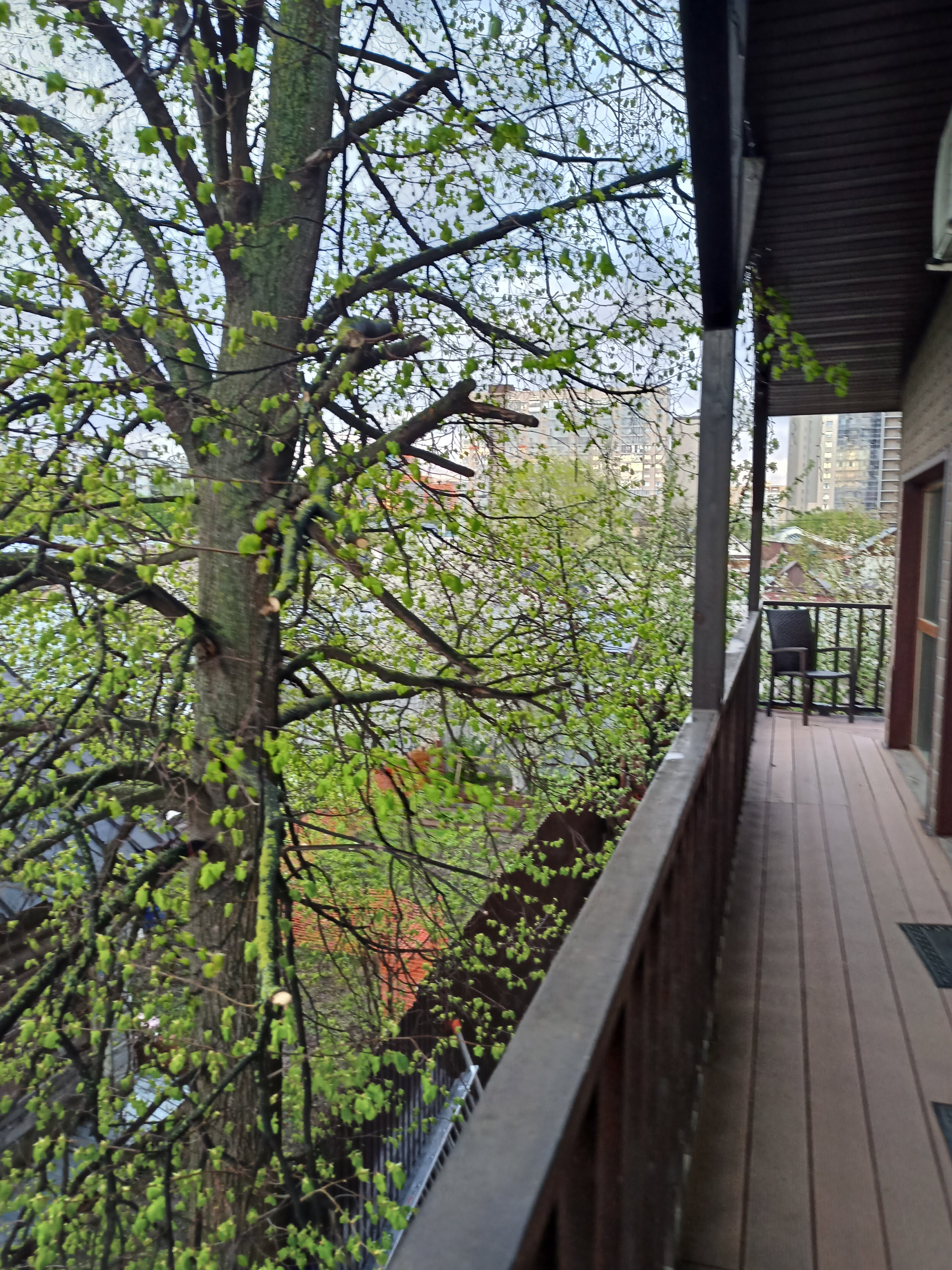 Фото В гостях как дома на Офицерской