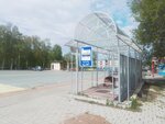 Красный Ключ (Republic of Tatarstan, Nizhnekamskiy District, Krasnoklyuchinskoye selskoye poseleniye, posyolok Krasny Klyuch), public transport stop